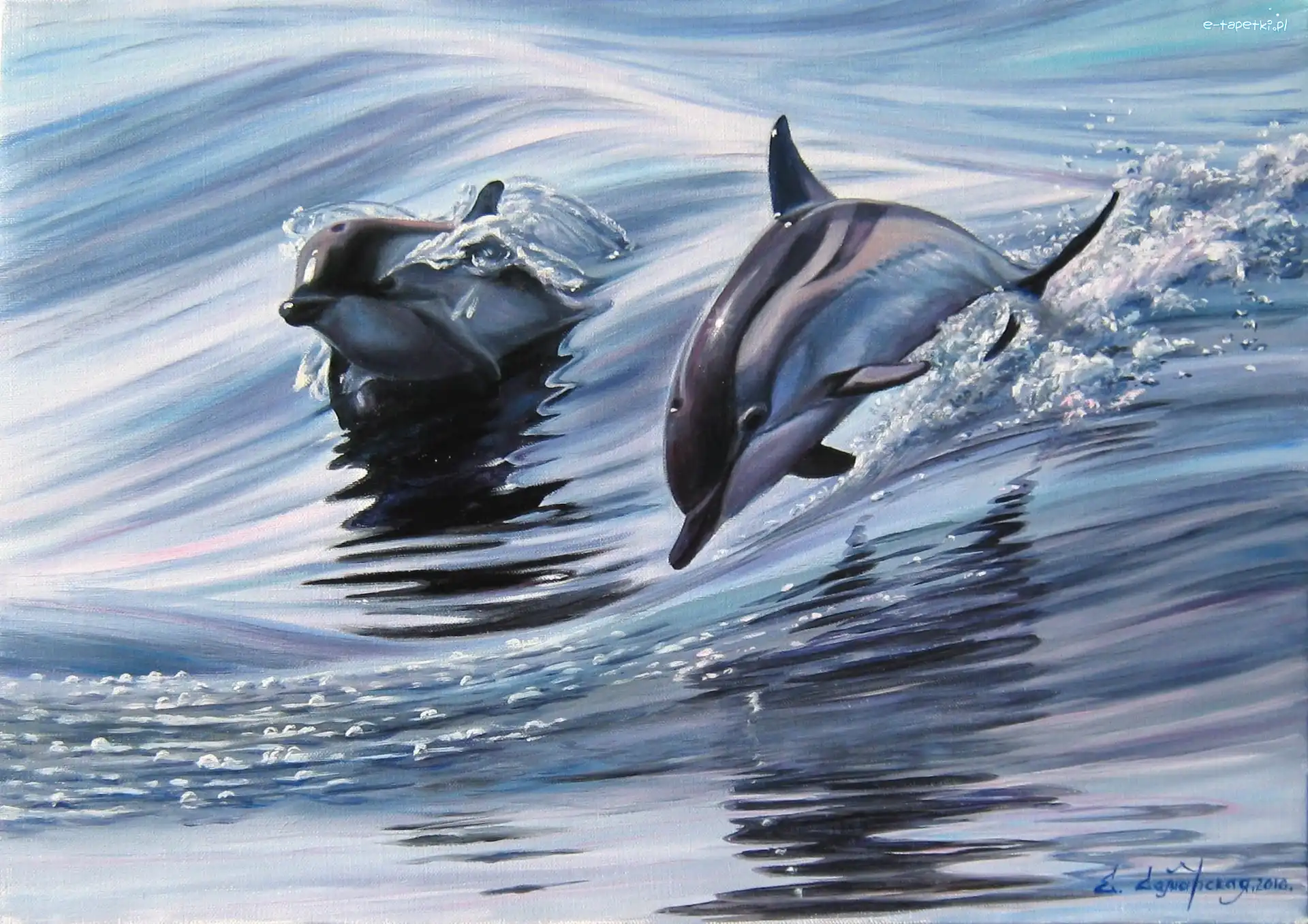 Morze, Delfinki, Dwa