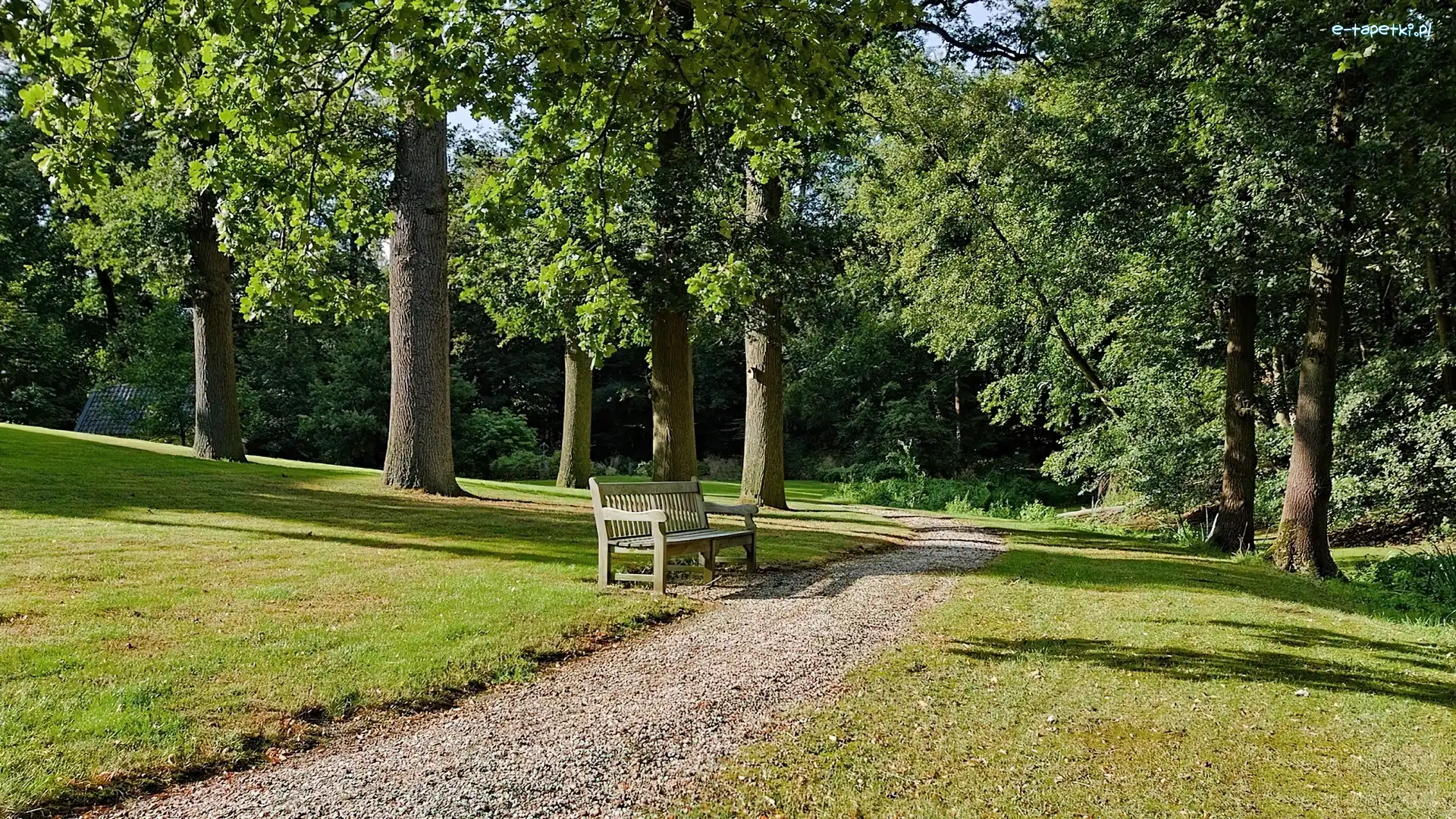 Aleja, Lato, Ławka, Park