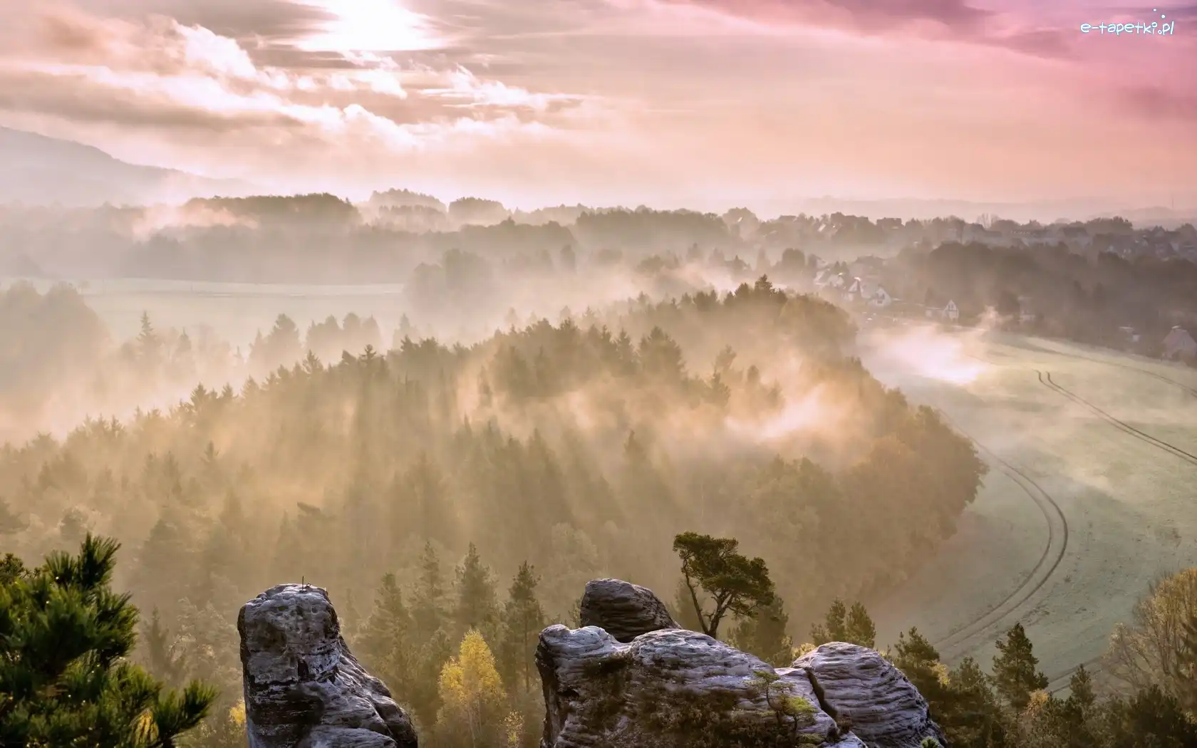 Drzewa, Mgła, Las, Skały