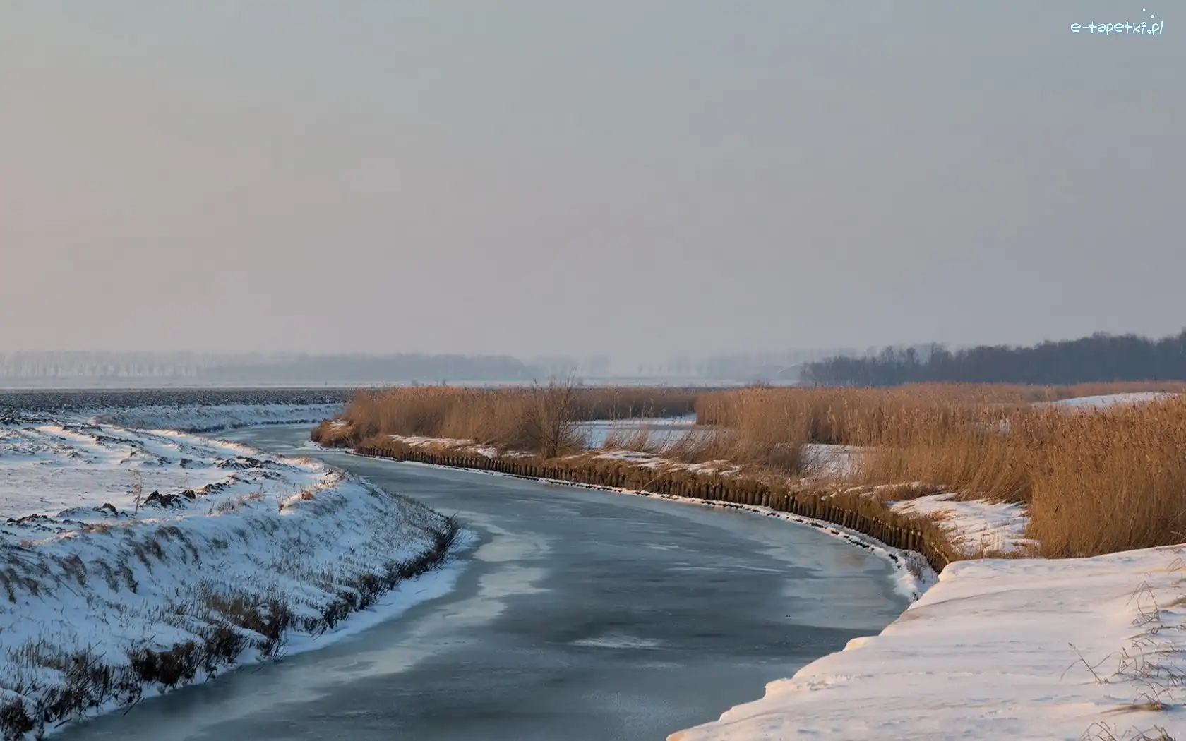 Trawa, Zima, Śnieg, Rzeka