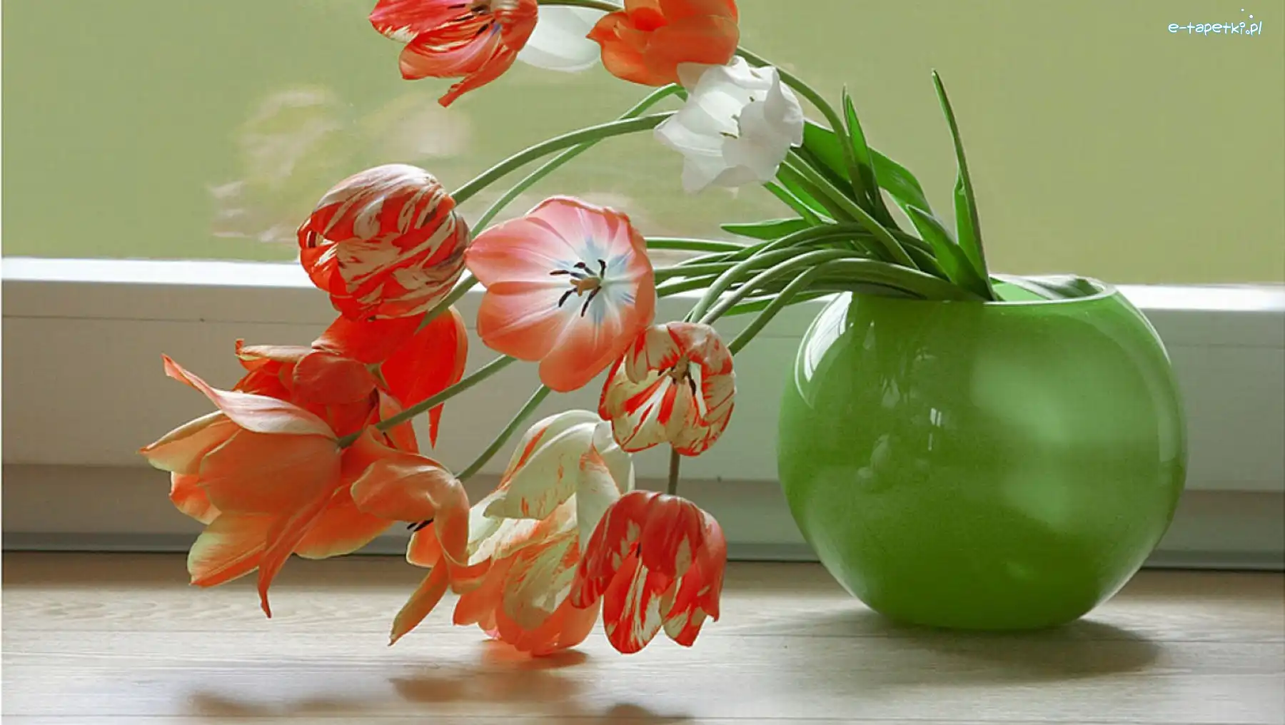 Wazonik, Zielony, Tulipany