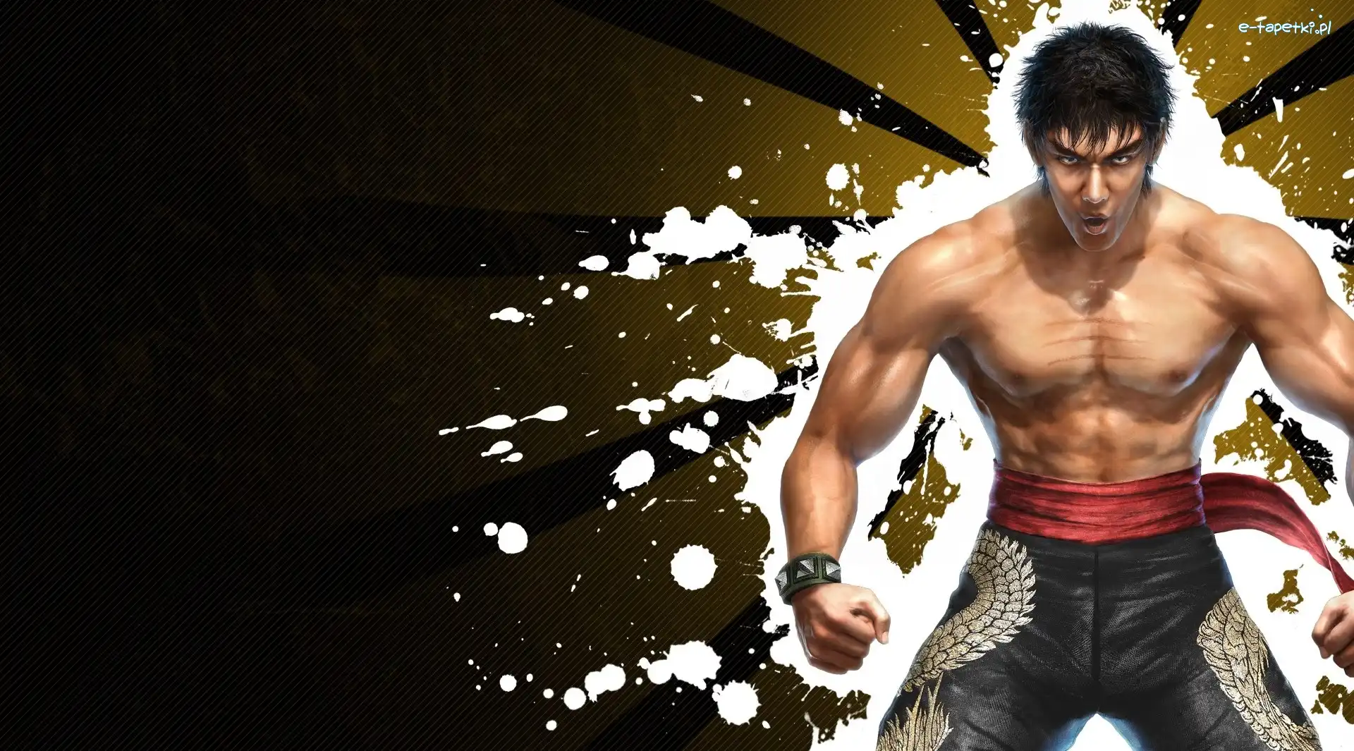 Marshal Law, Tekken 6