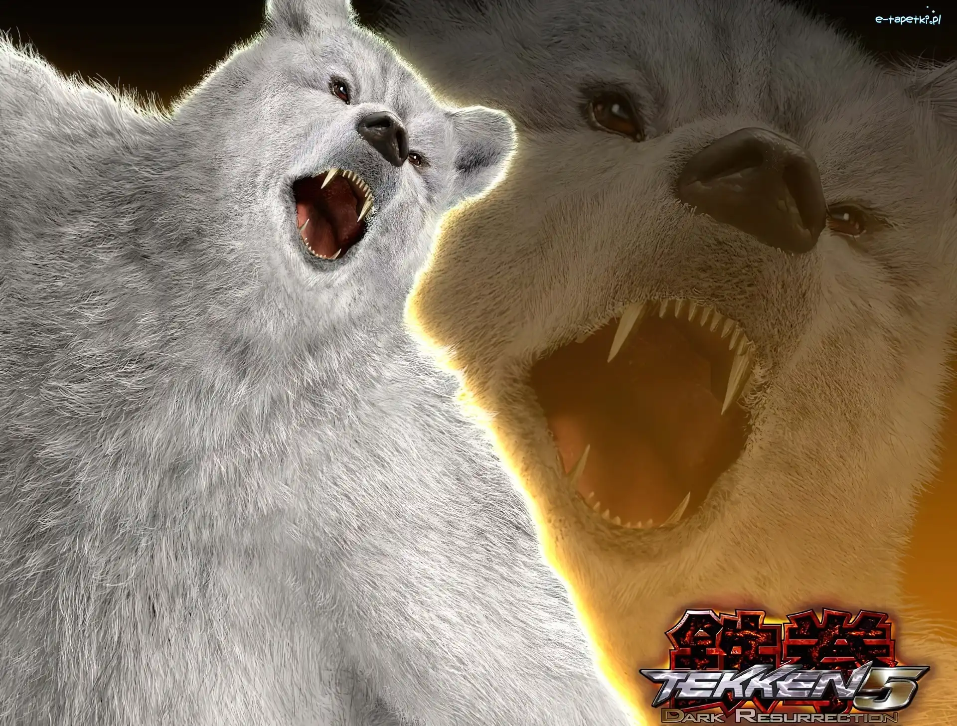 Kuma, Tekken 5 Dark Ressurection