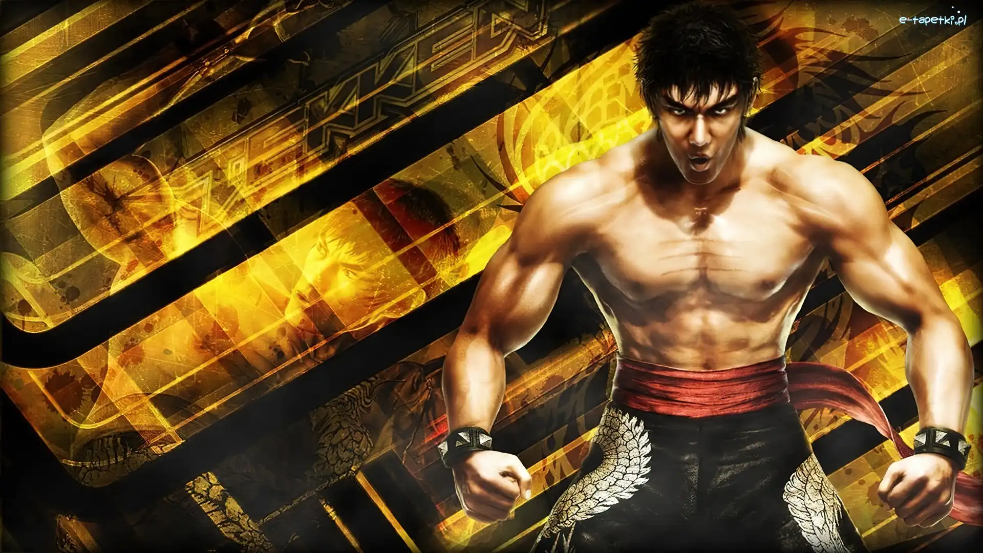 Marshal Law, Tekken 6