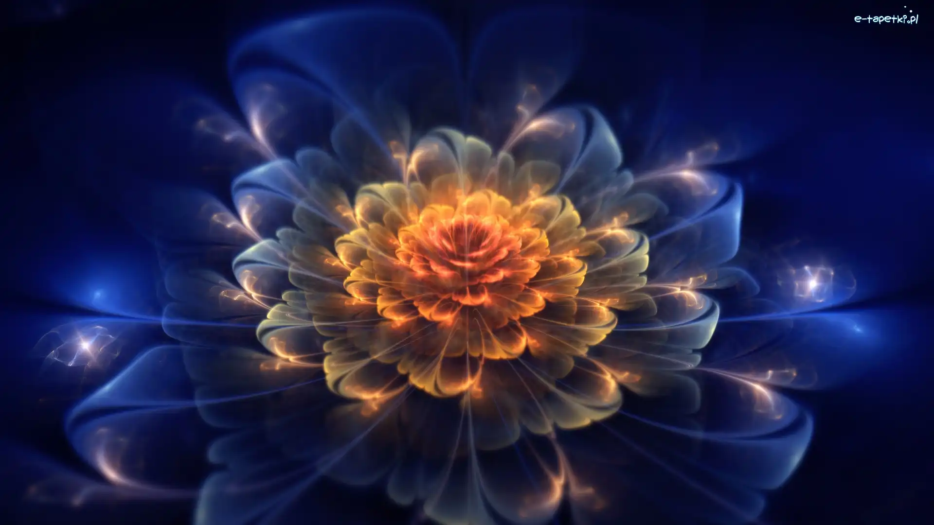 Kwiat, Fractalius
