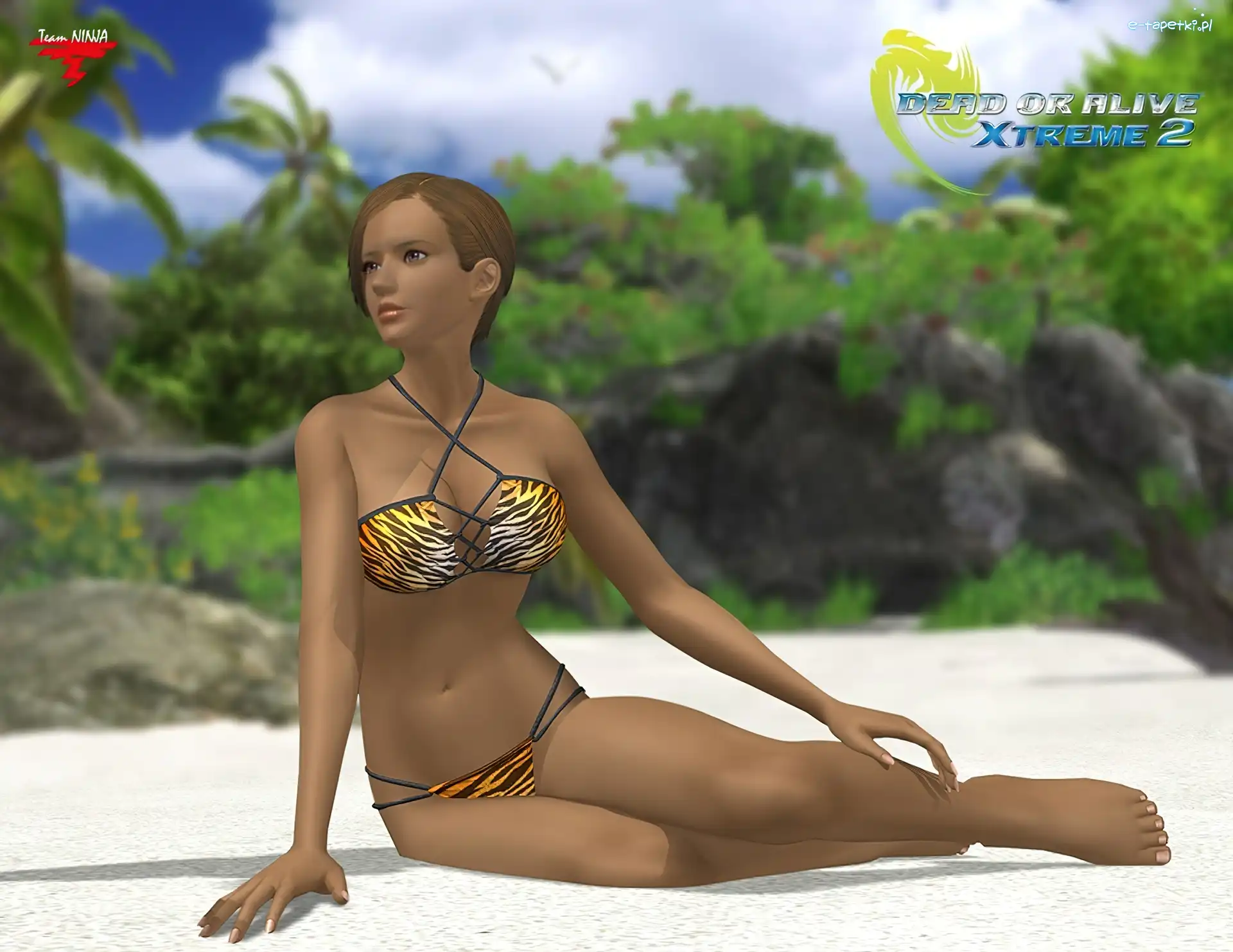 Lisa Hamilton, Dead Or Alive Xtreme 2