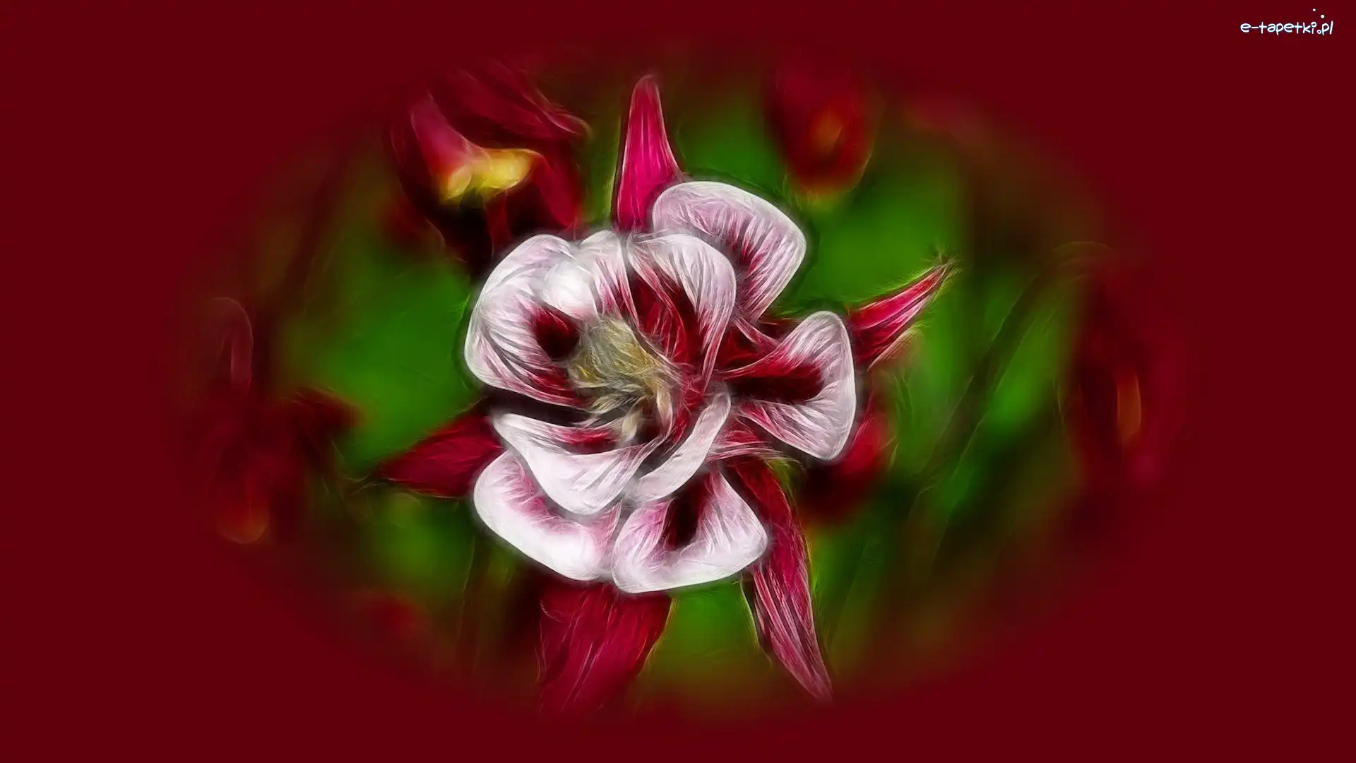 Grafika, Fractalius, Kwiat