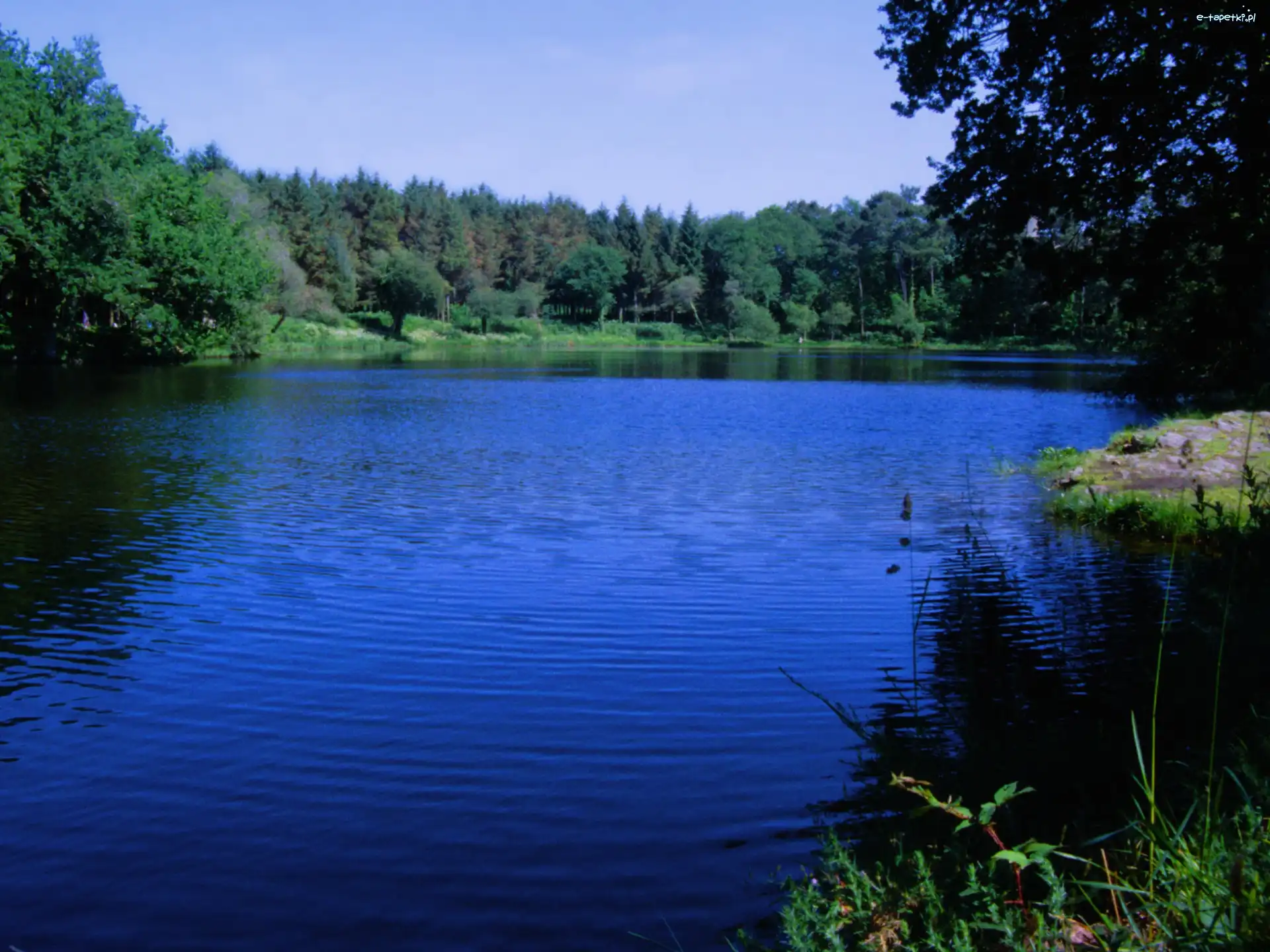 Brzegi, Zalesione, Jezioro