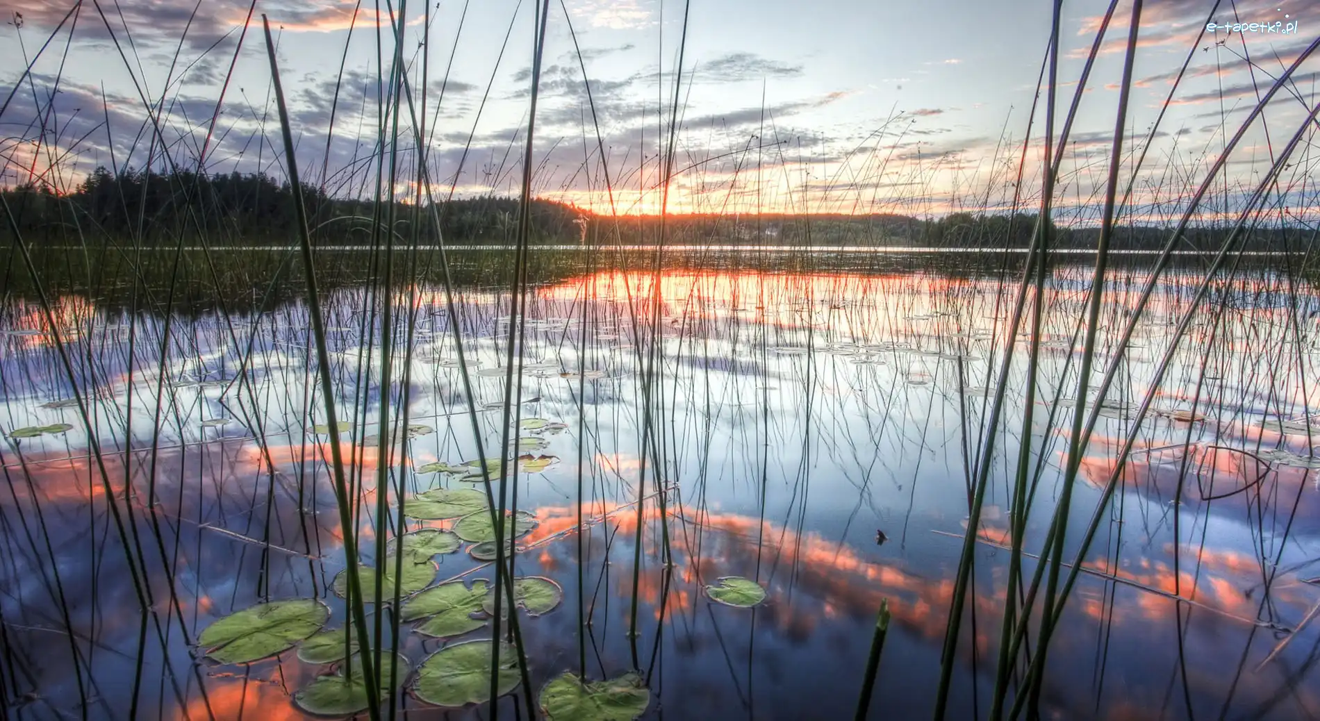 Słońca, Szuwary, Jezioro, Wschód