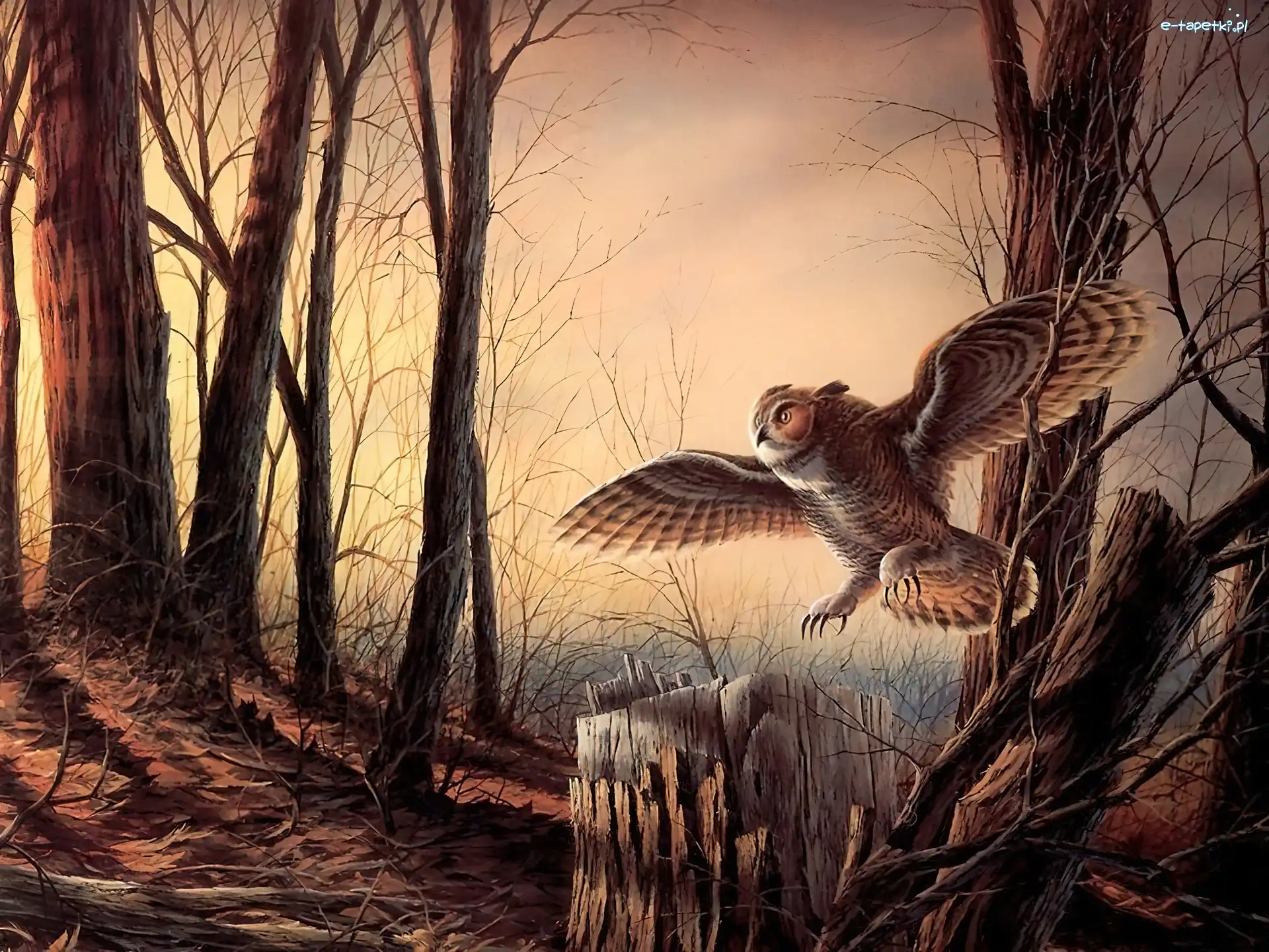 Obraz, Las, Reprodukcja, Terry Avon Redlin, Sowa