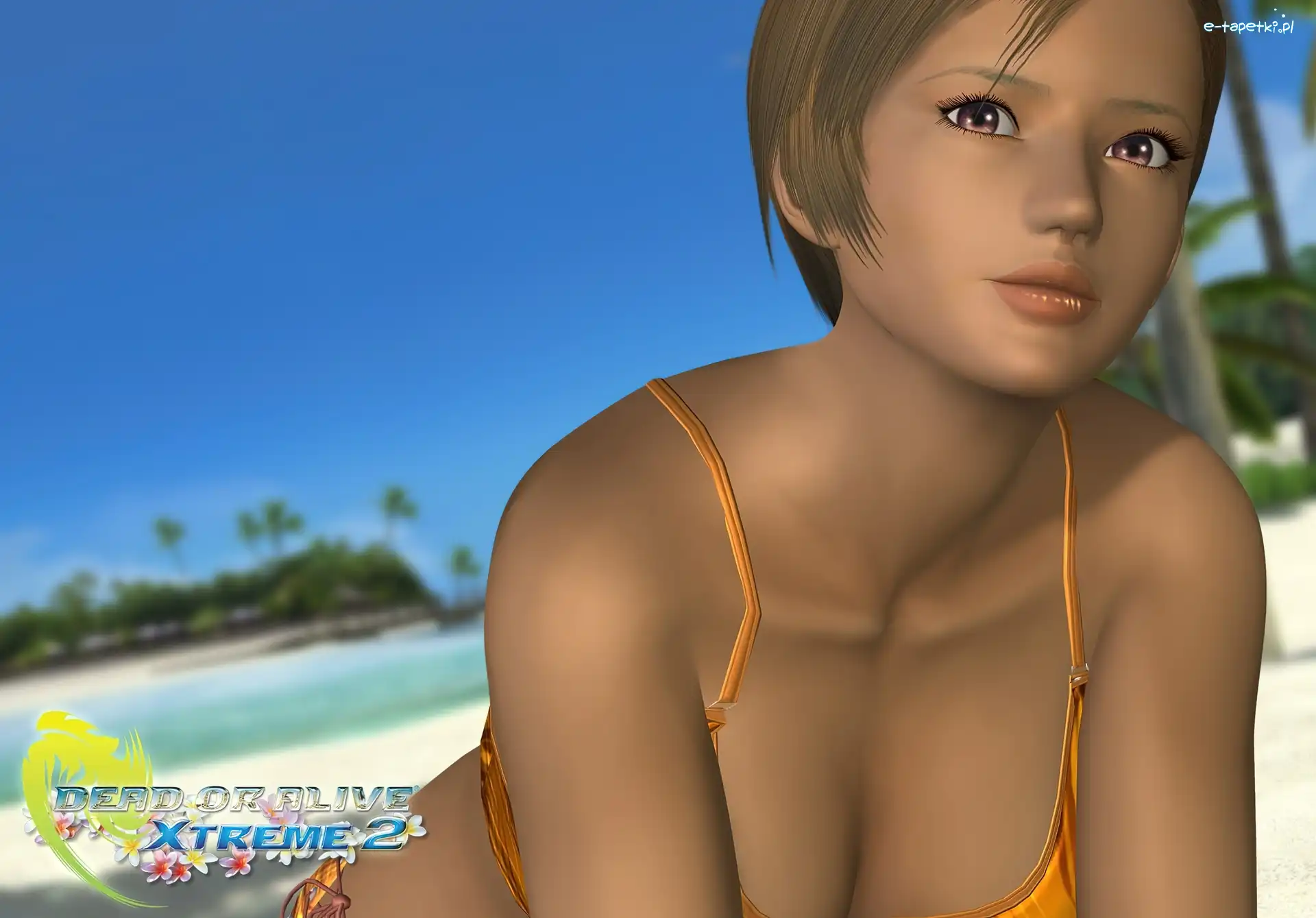 Lisa Hamilton, Dead Or Alive Xtreme 2