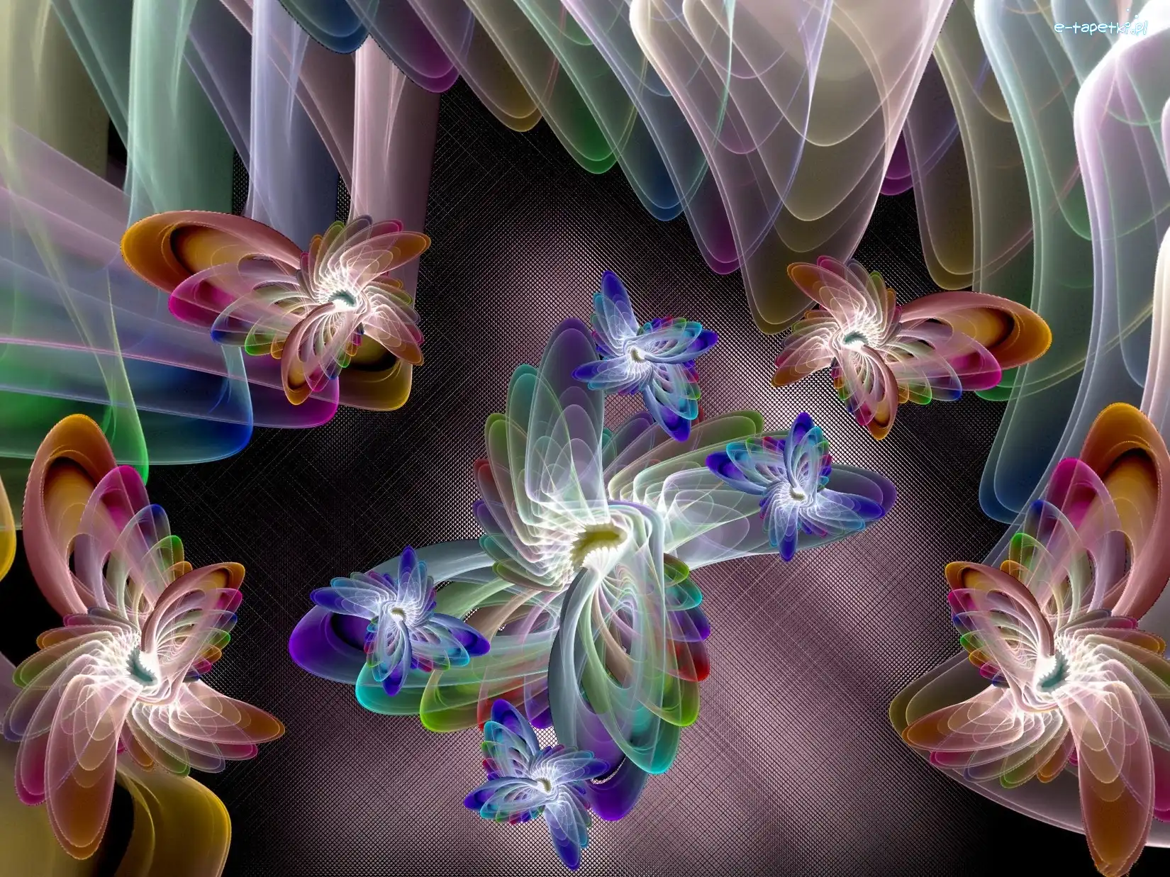 Grafika, Kwiaty, Kolorowe