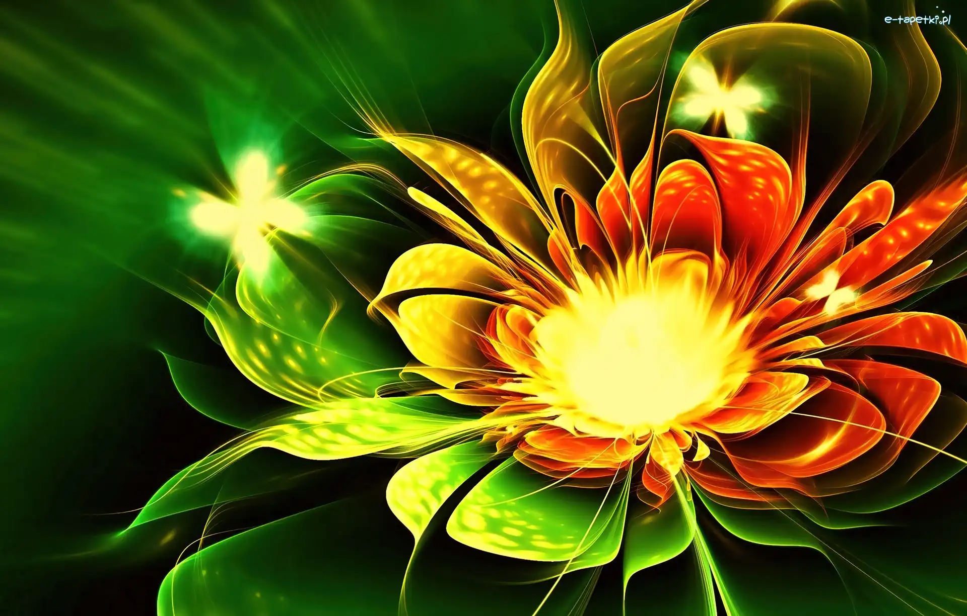 Kwiat, Fractalius, Motyle, Kolorowy