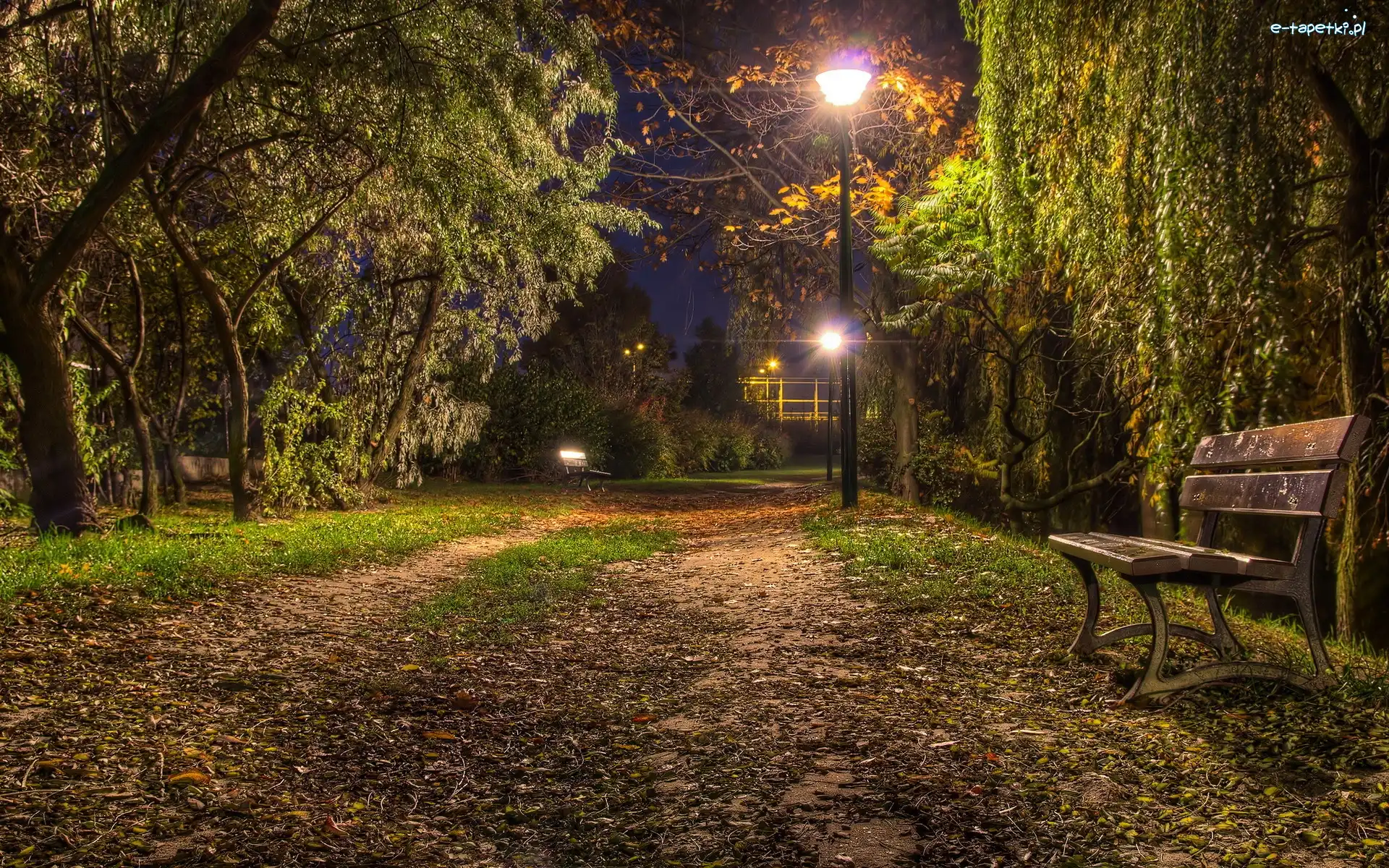 Park, Ławka, Wieczorem, Lampy, Drzewa
