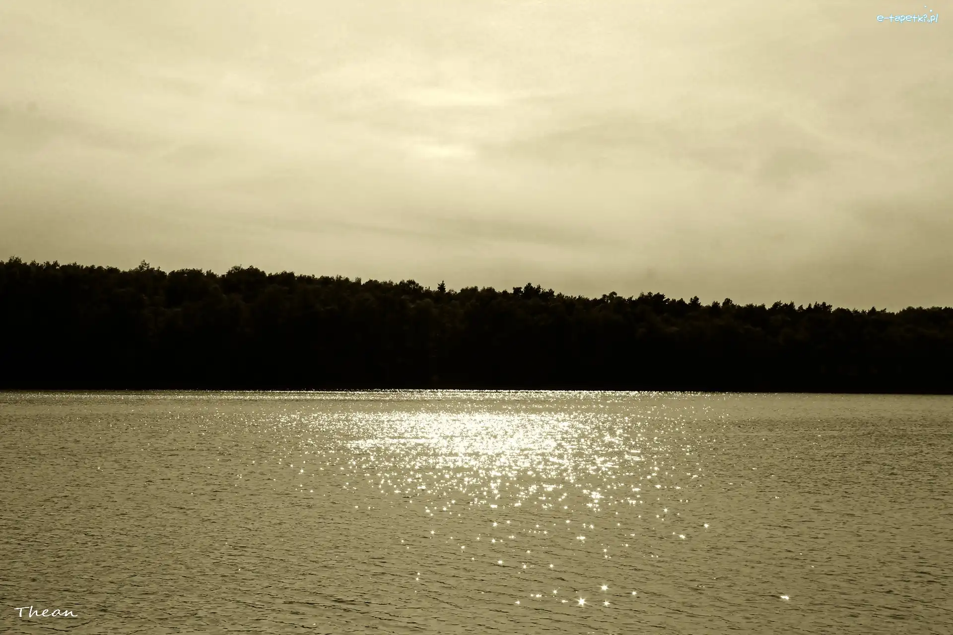 Czarno Biały, Drzewa, Jezioro