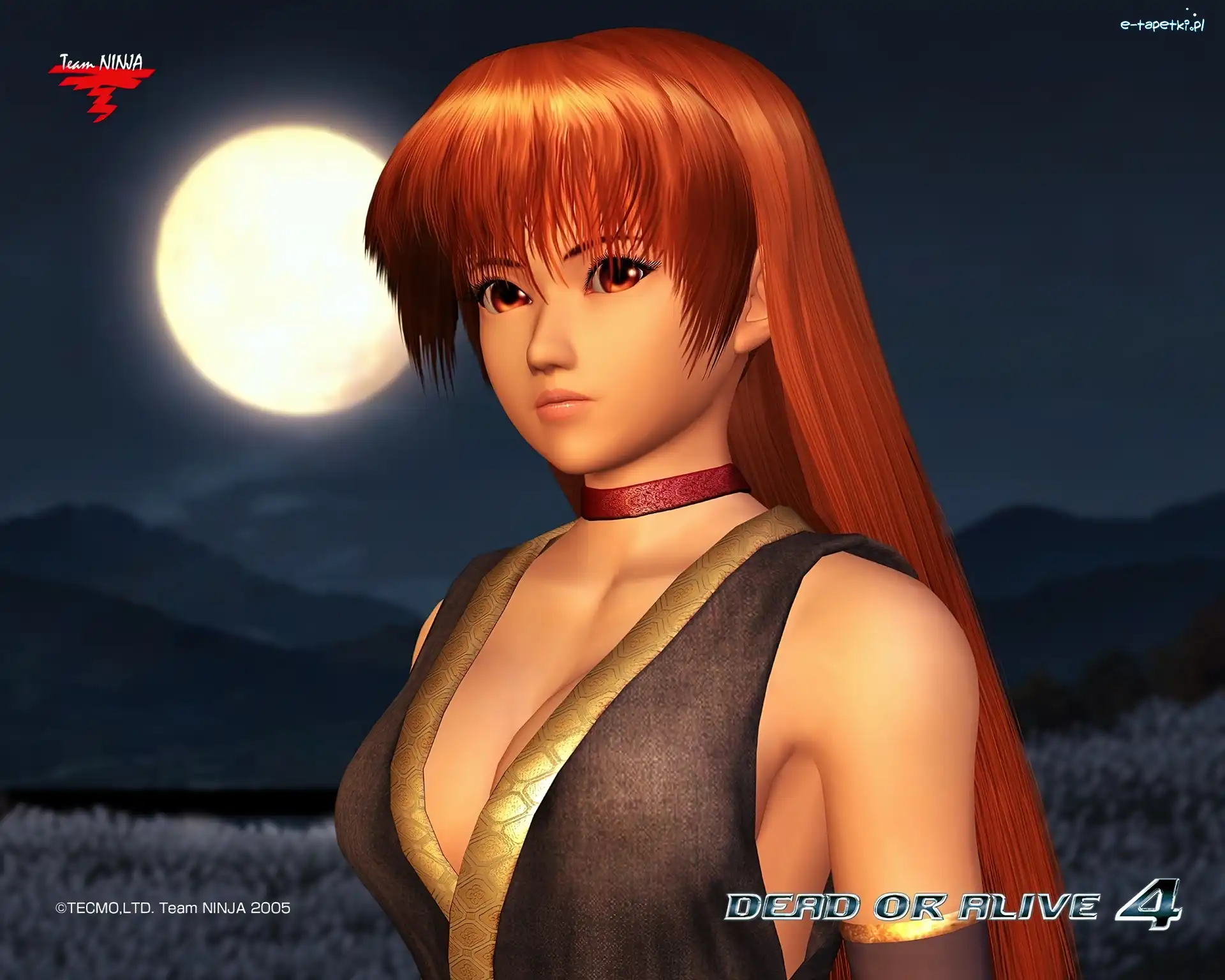 Kasumi, Dead Or Alive 4