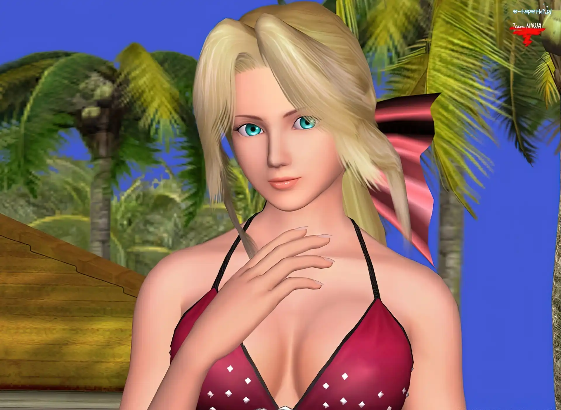 Helena, Dead Or Alive 4