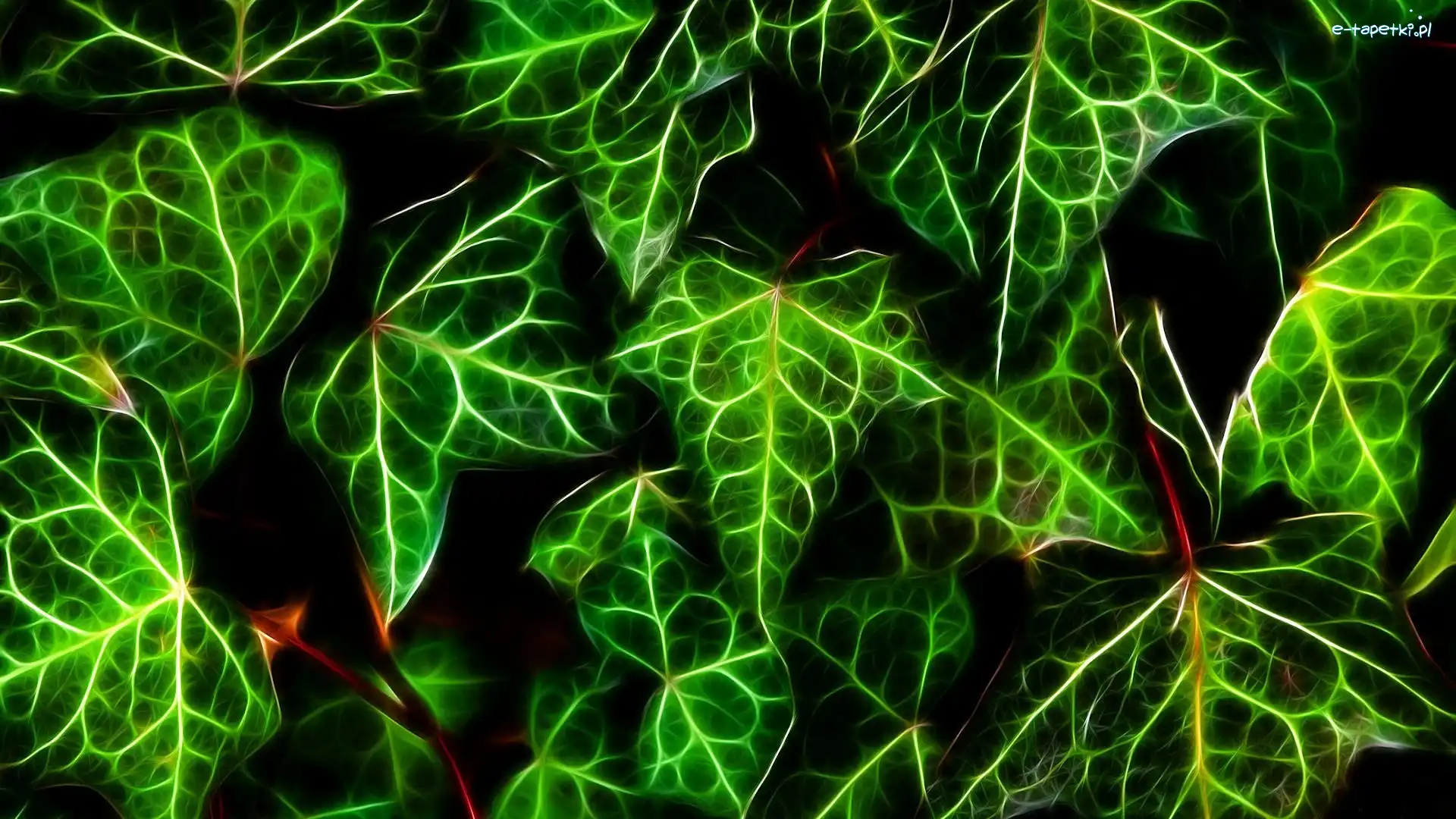 Fractalius, Bluszcz, Liście