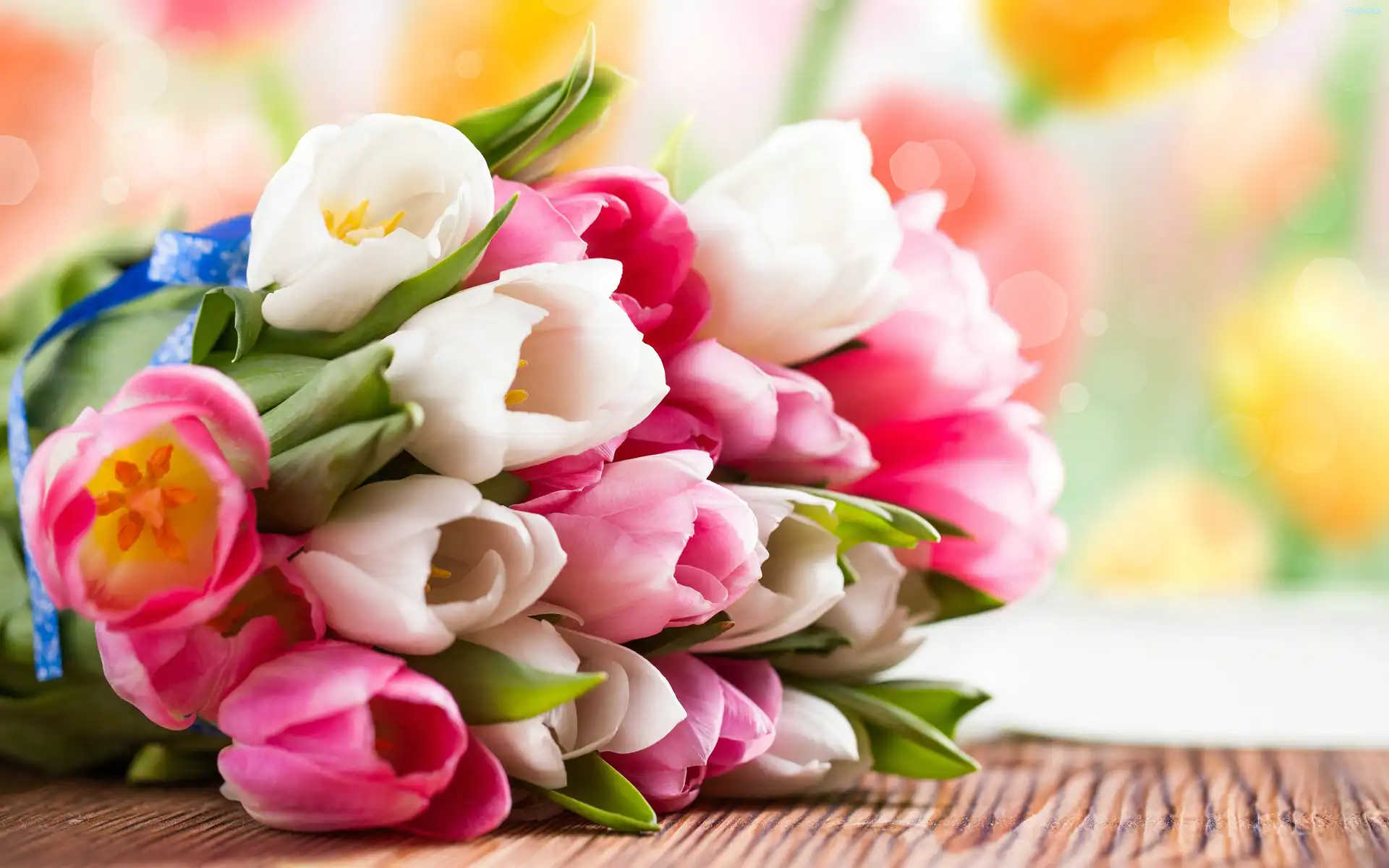 Tulipany, Kolorowe, Kwiaty