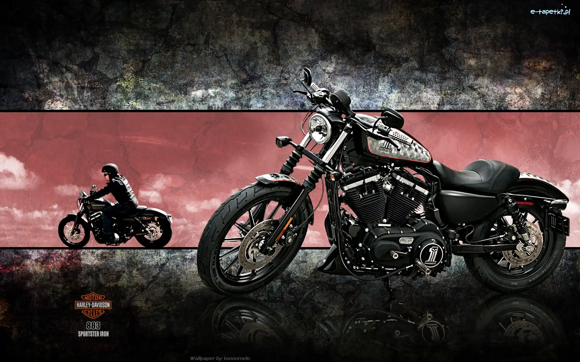 Motocyklista, Motocykl, Harley-Davidson XL883N Iron