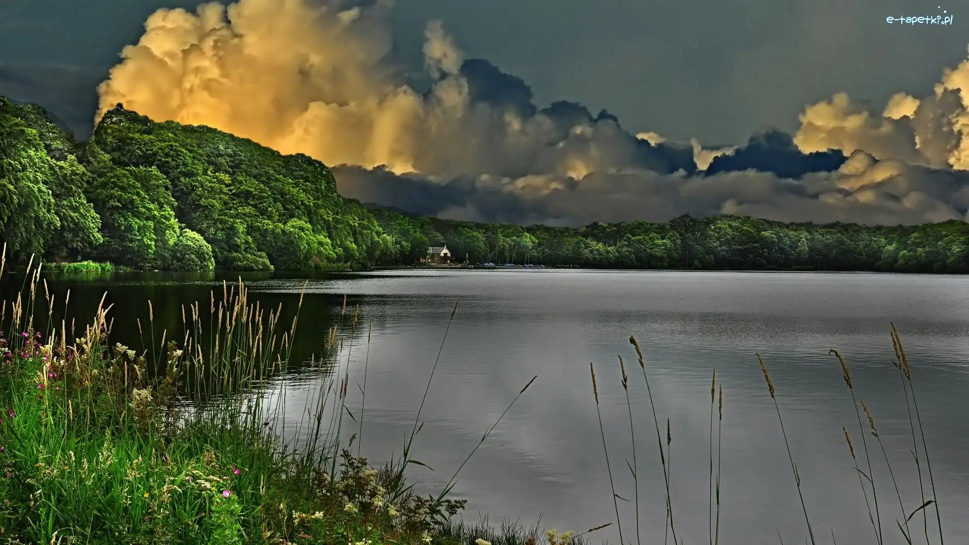 Chmury, Las, Jezioro