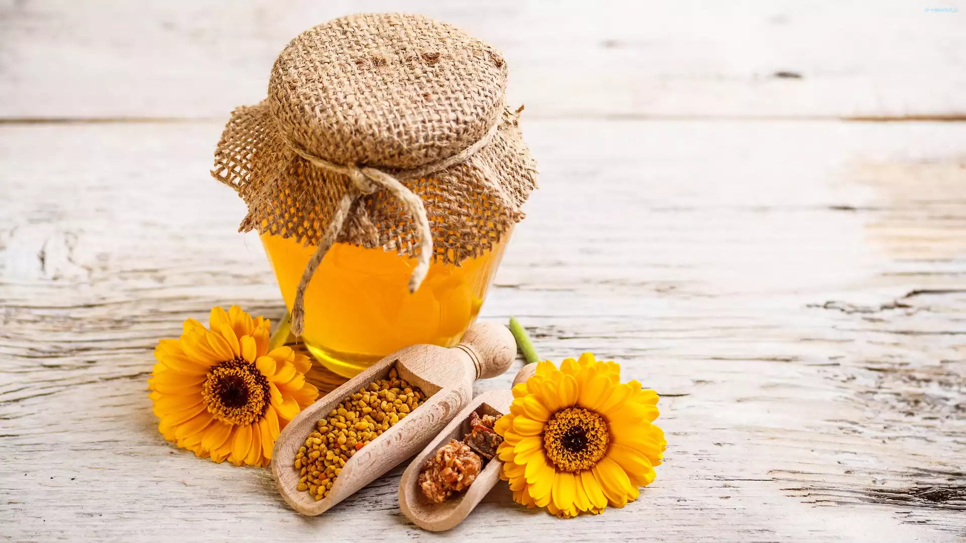 Gerbery, Propolis, Miód