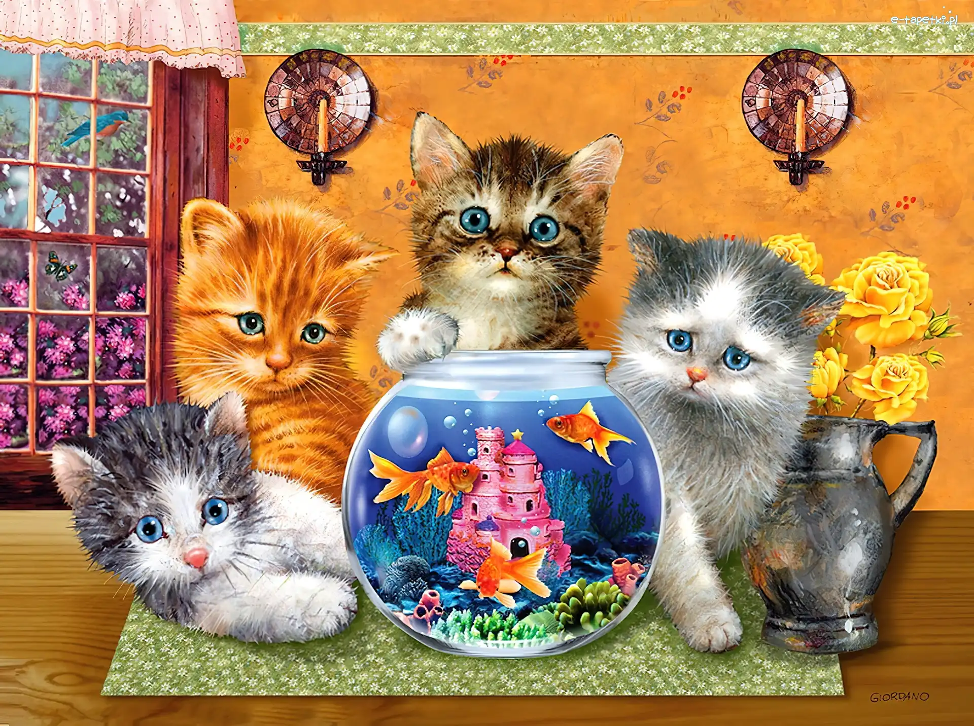 Akwarium, Koty, Cztery