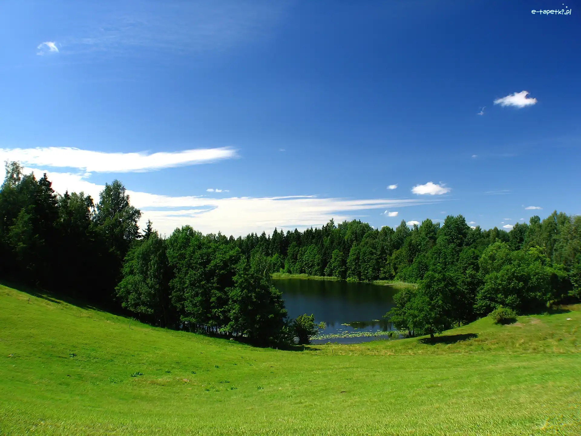 Lasy, Chmury, Łąka, Jezioro