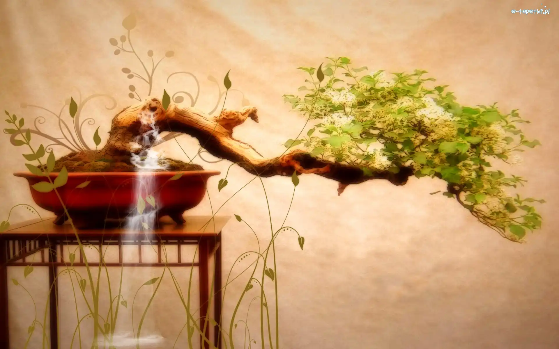 Bonsai, Drzewko, Stolik