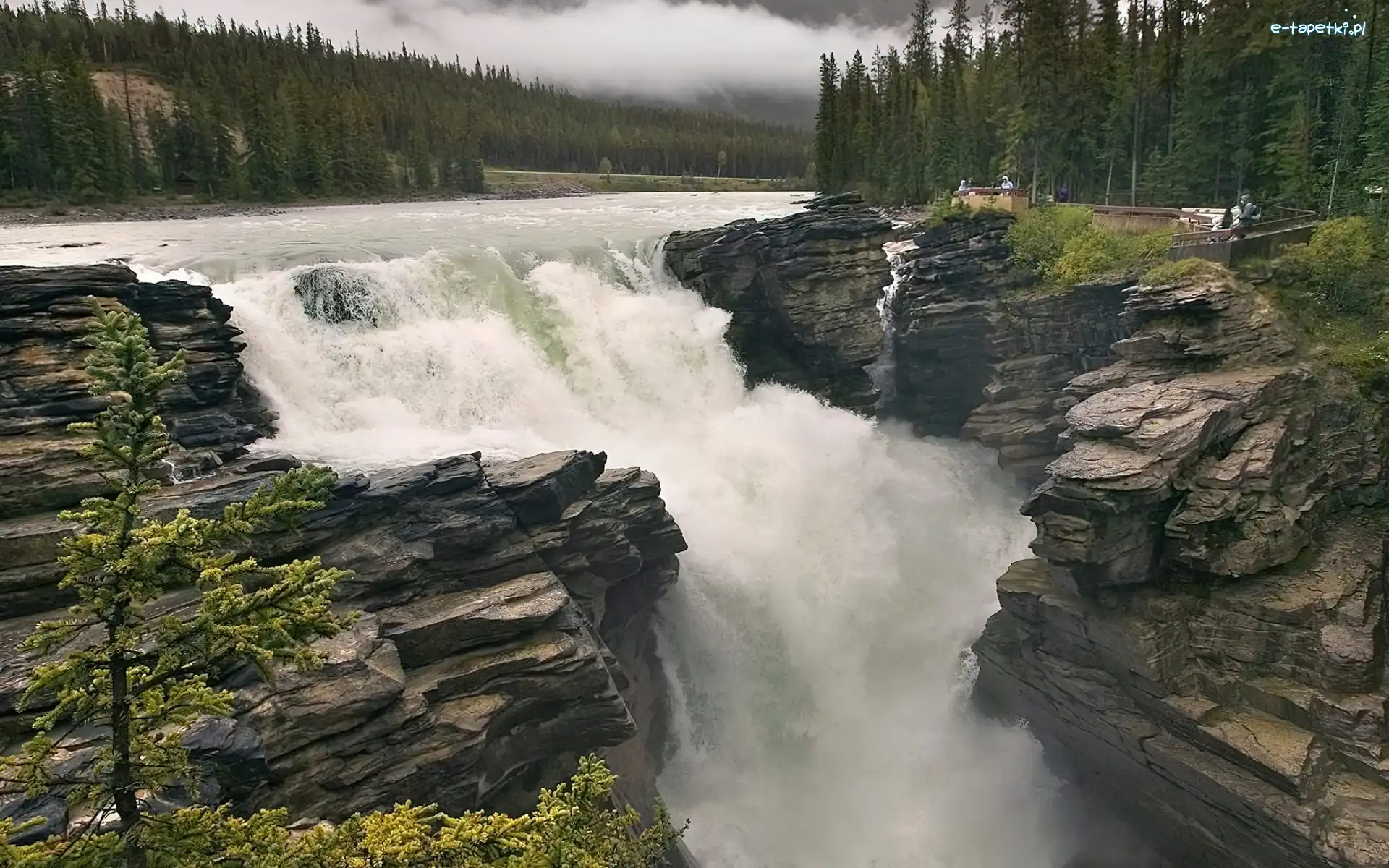 Skały, Kanada, Alberta, Wodospad