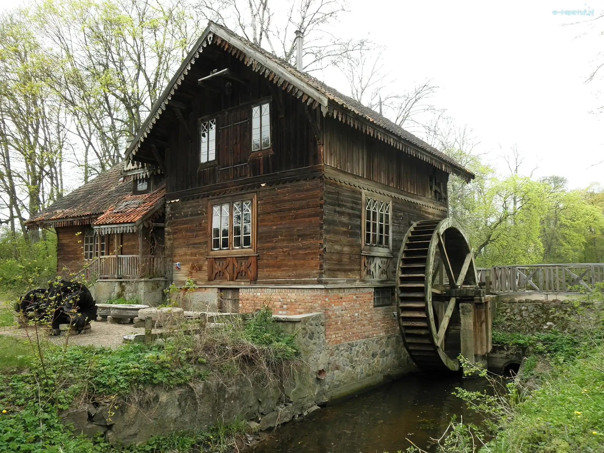 Młyn, Rzeczka, Wodny, Rośliny, Drzewa