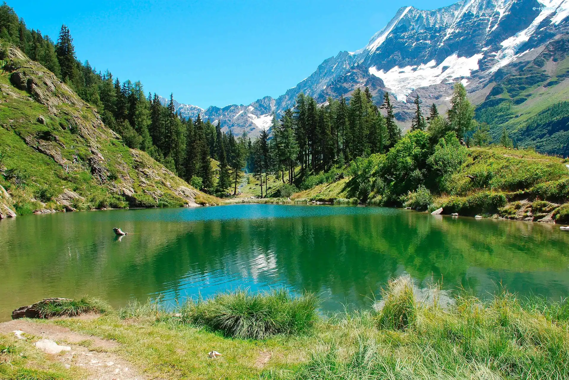 Lasy, Góry, Jezioro