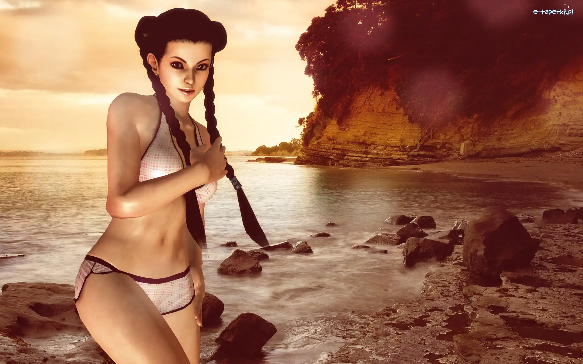 Pai Chan, Dead Or Alive 5