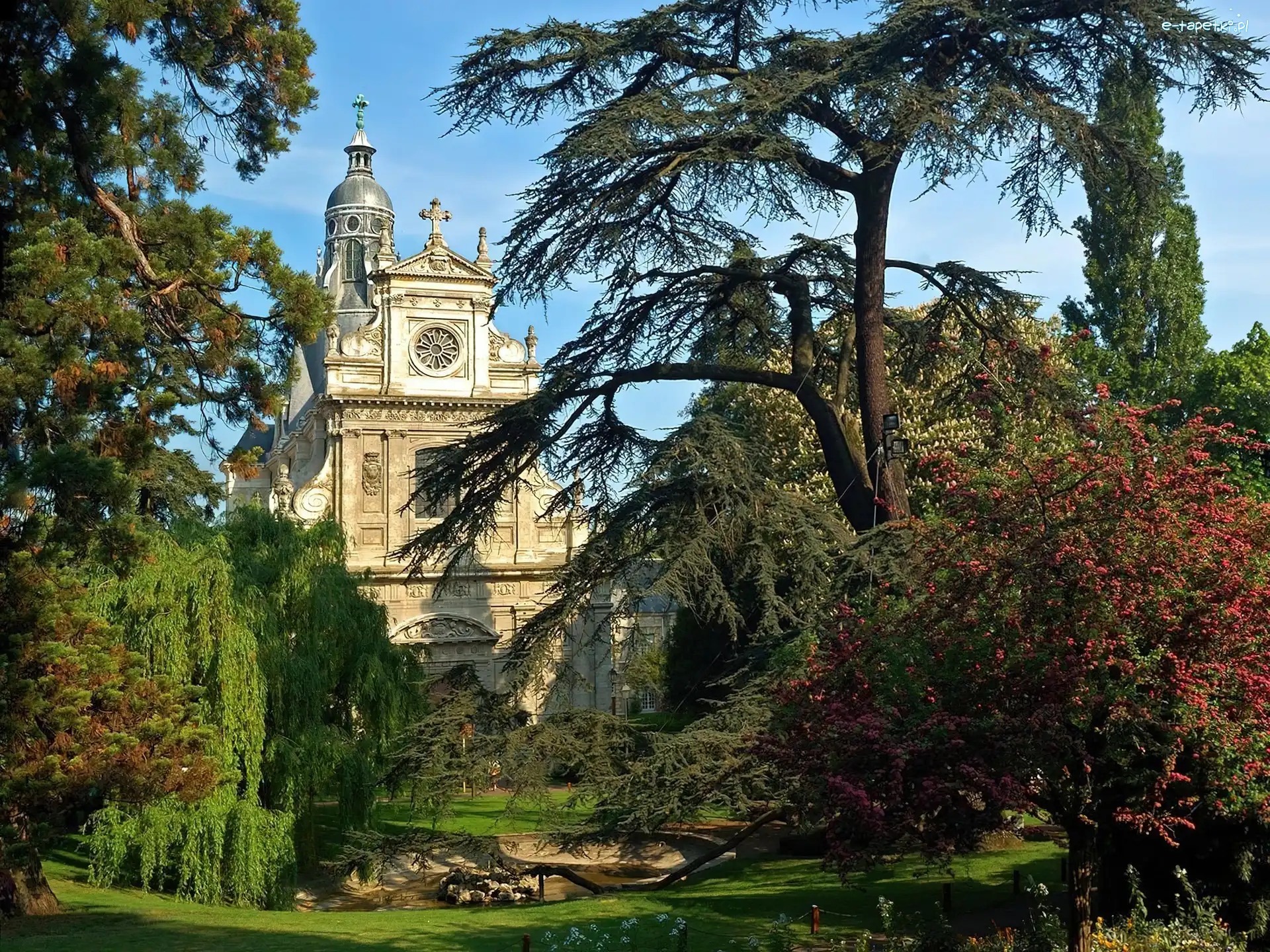 Park, Zabytek, Zamek