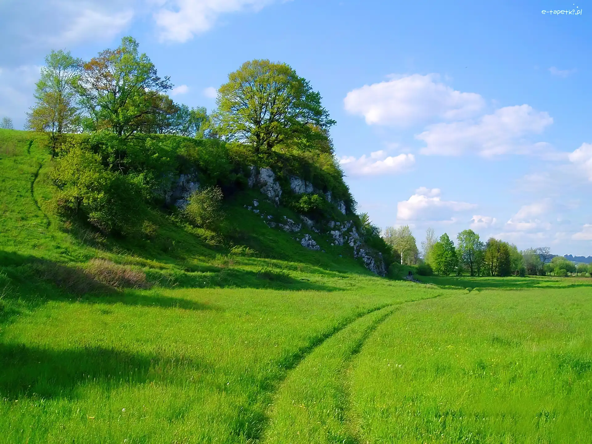Chmury, Łąka, Las