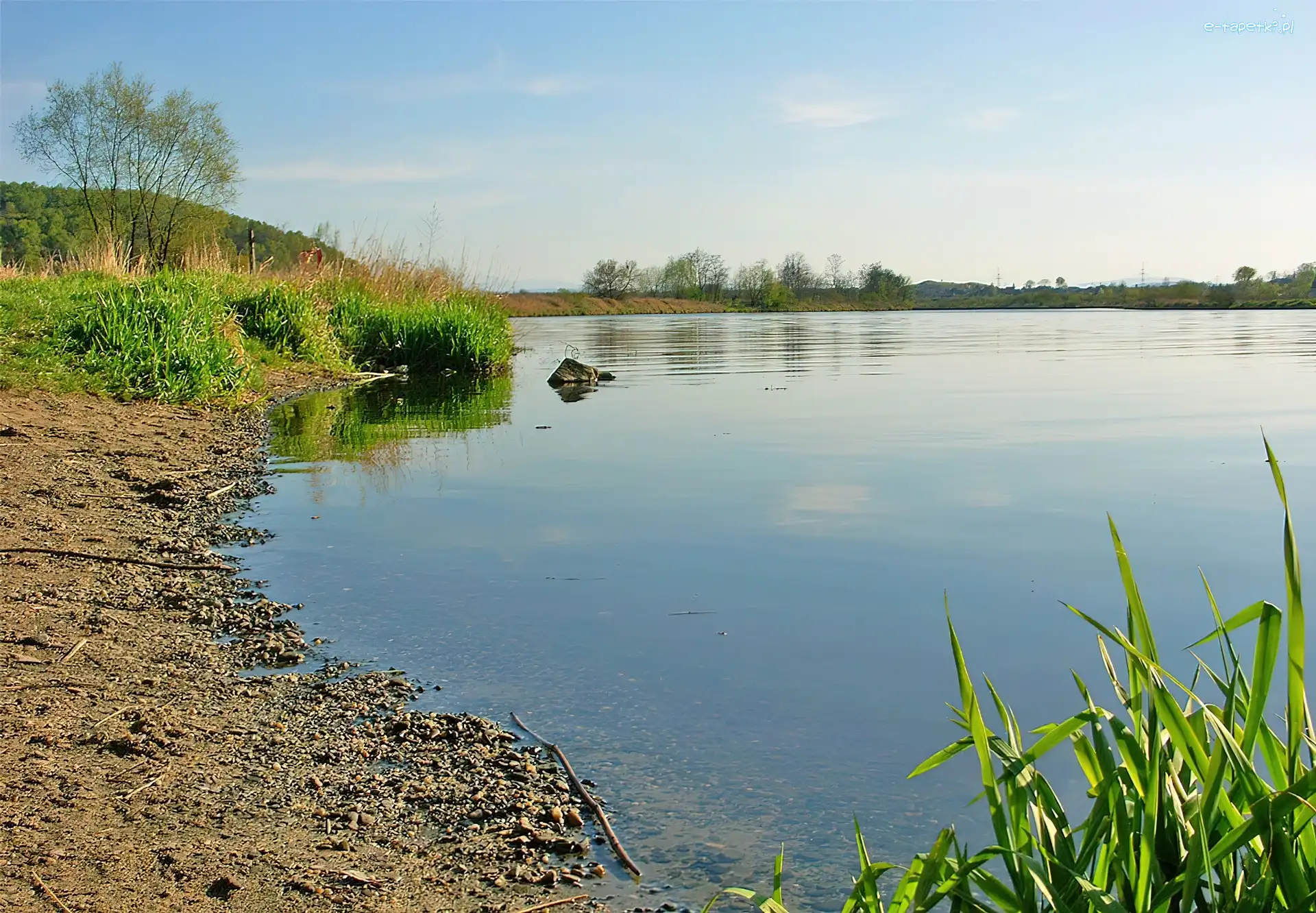 Drzewa, Plaża, Jezioro
