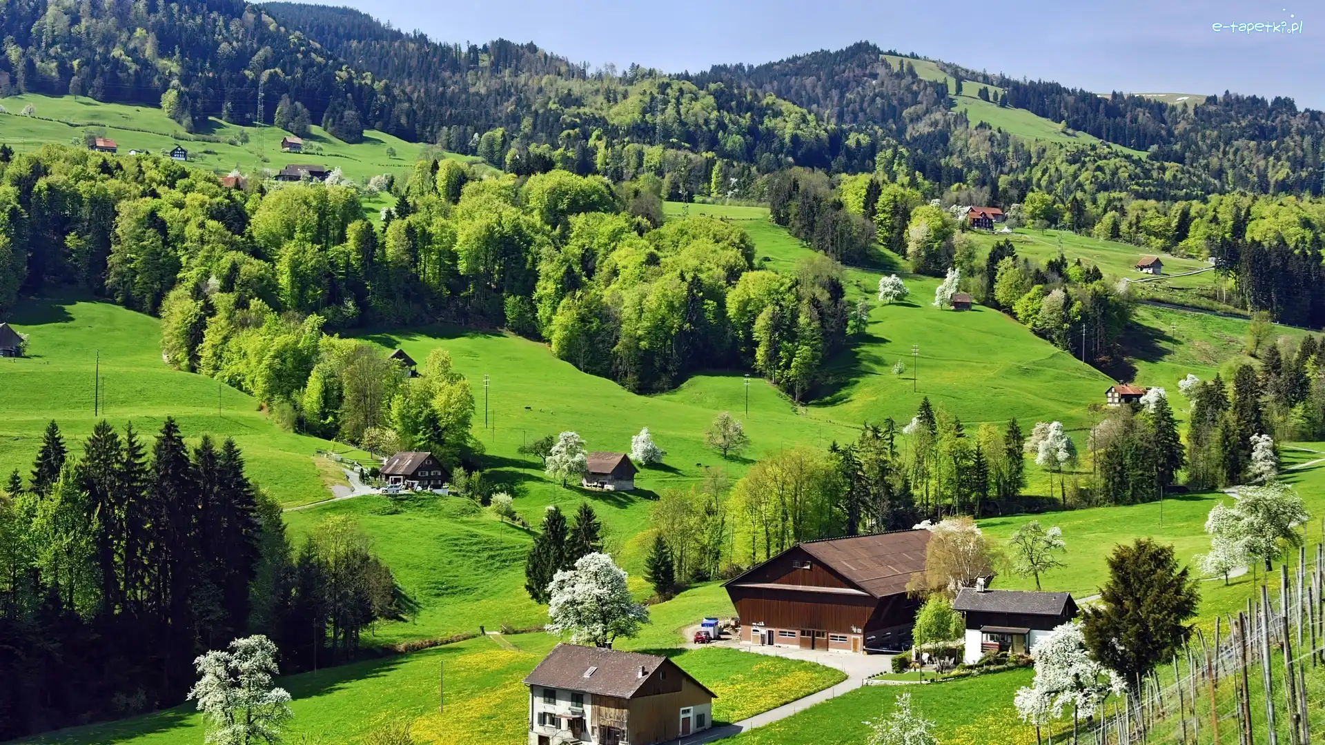 Lasy, Droga, Domy, Góry