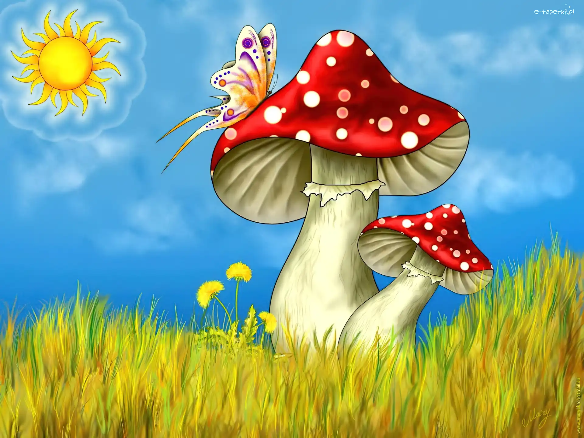 Muchomory, Słońce, Motyl, Grzyby