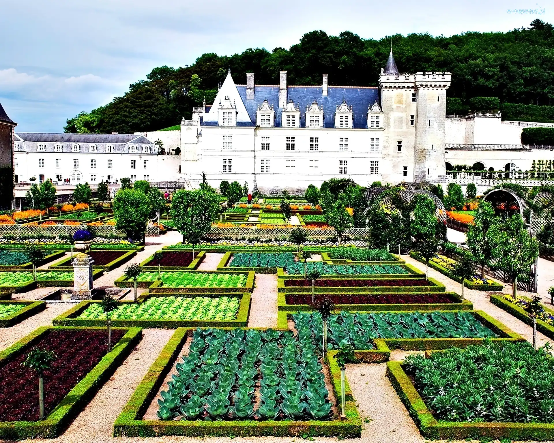 Ogrody, Villandry, Dolina, W, Zamek, Francja, Loary