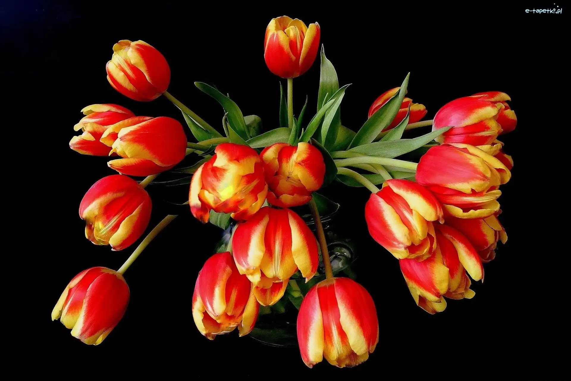 Tulipanów, Bukiet