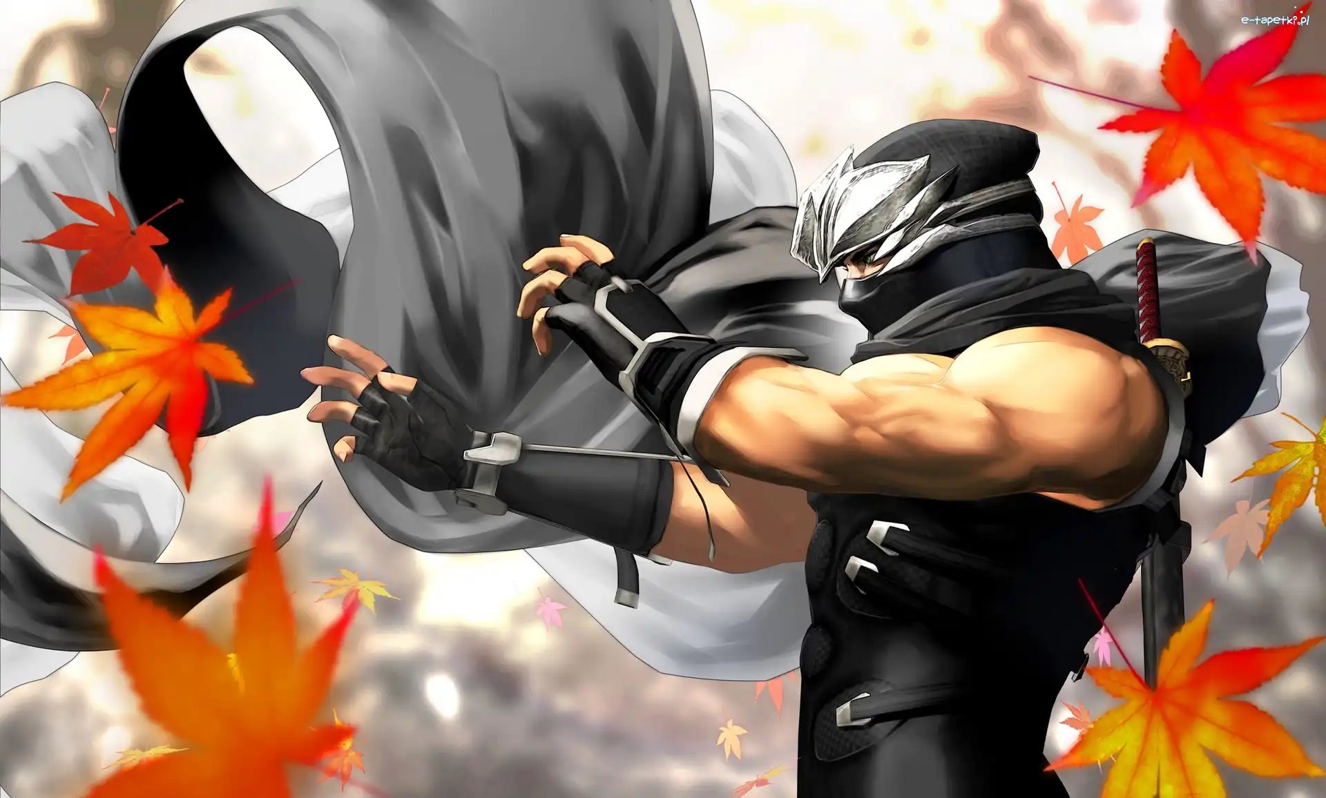 Ryu Hayabusa, Dead Or Alive Dimension