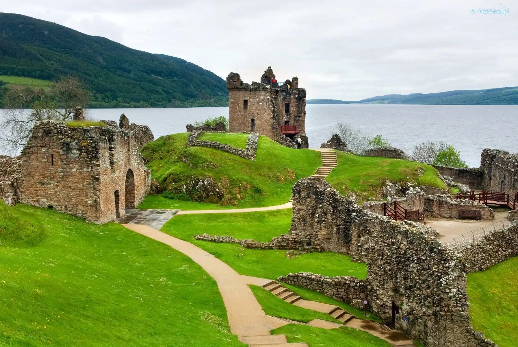 Szkocja, Nad, Ruiny, Lochness, Jeziorem