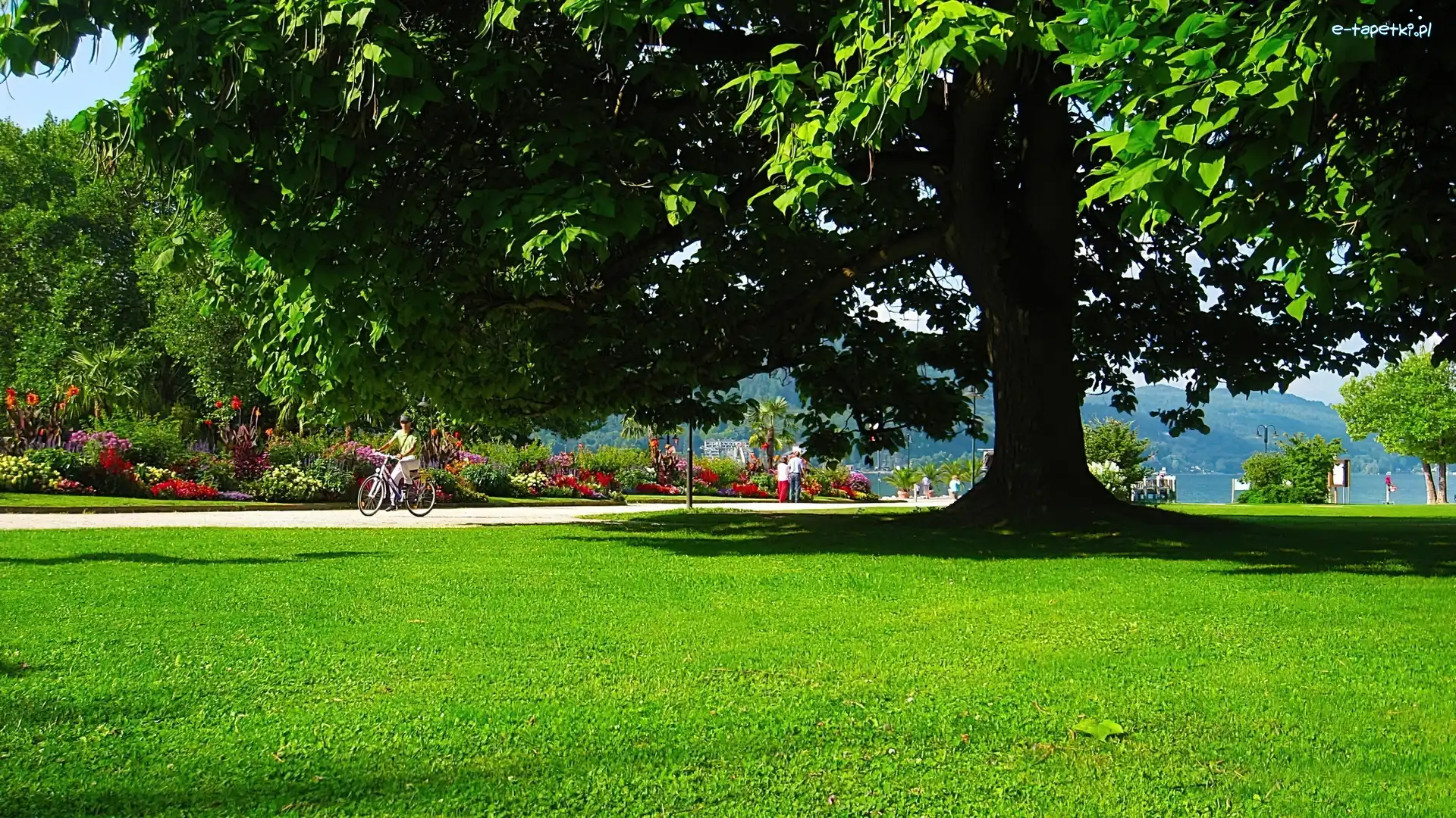 Park, Austria, Spacerowicze, Lato