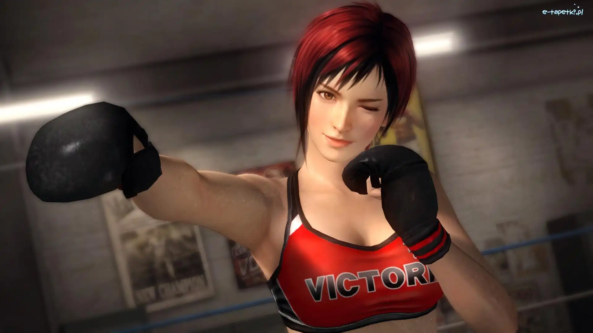 Mila, Dead Or Alive 5