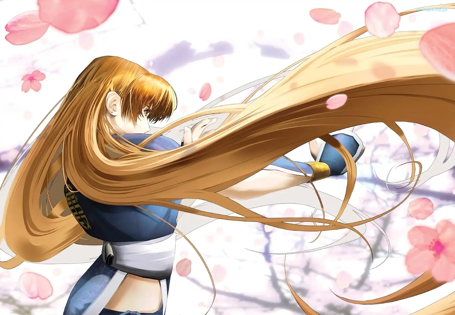Kasumi, Dead Or Alive Dimension