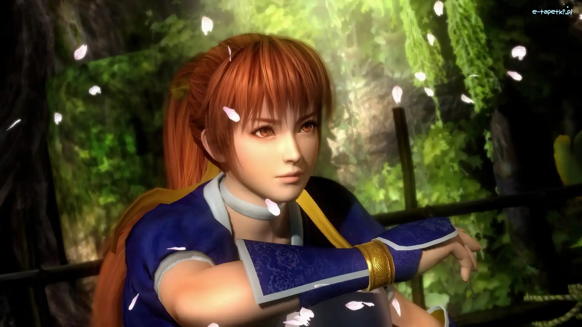 Kasumi, Dead Or Alive 5