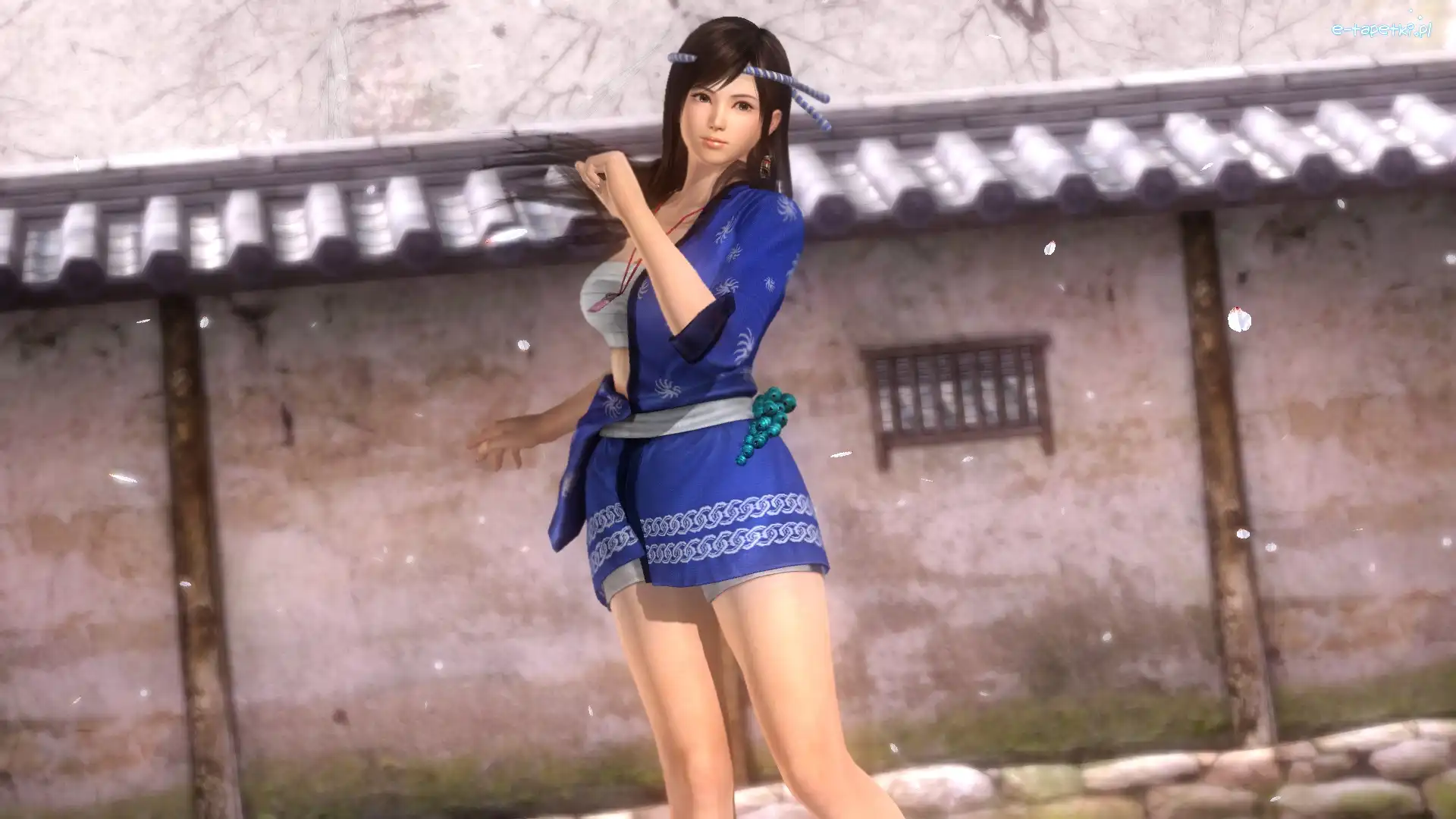 Kokoro, Dead Or Alive 5