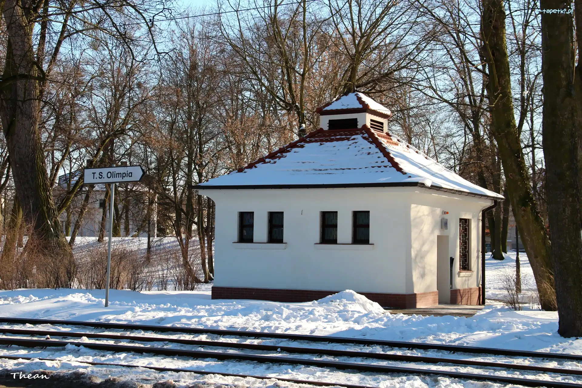 Mały, Domek, Biały, Poznań, Park