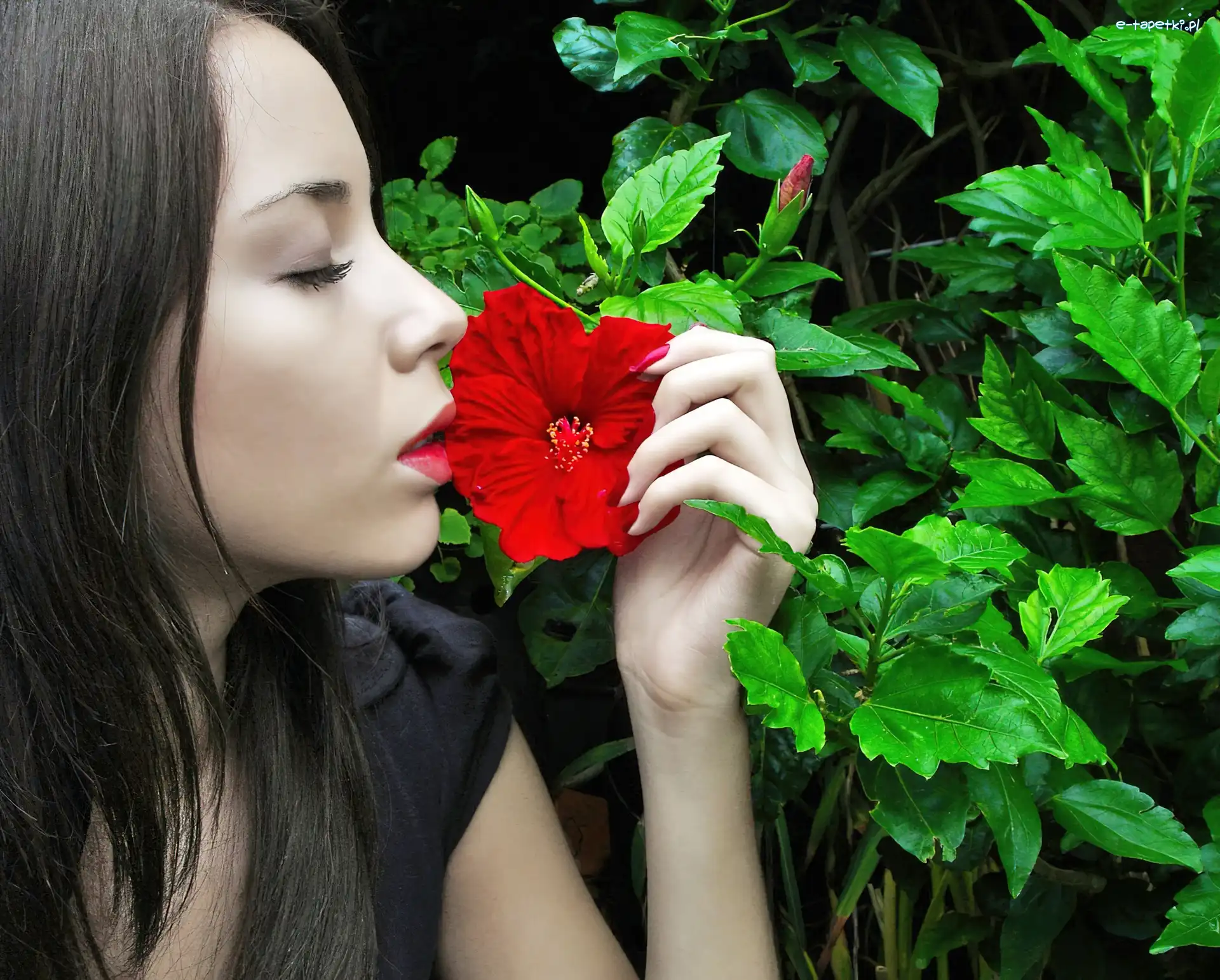 Dziewczyna, Czerwony, Profil, Hibiskusa, Kwiat