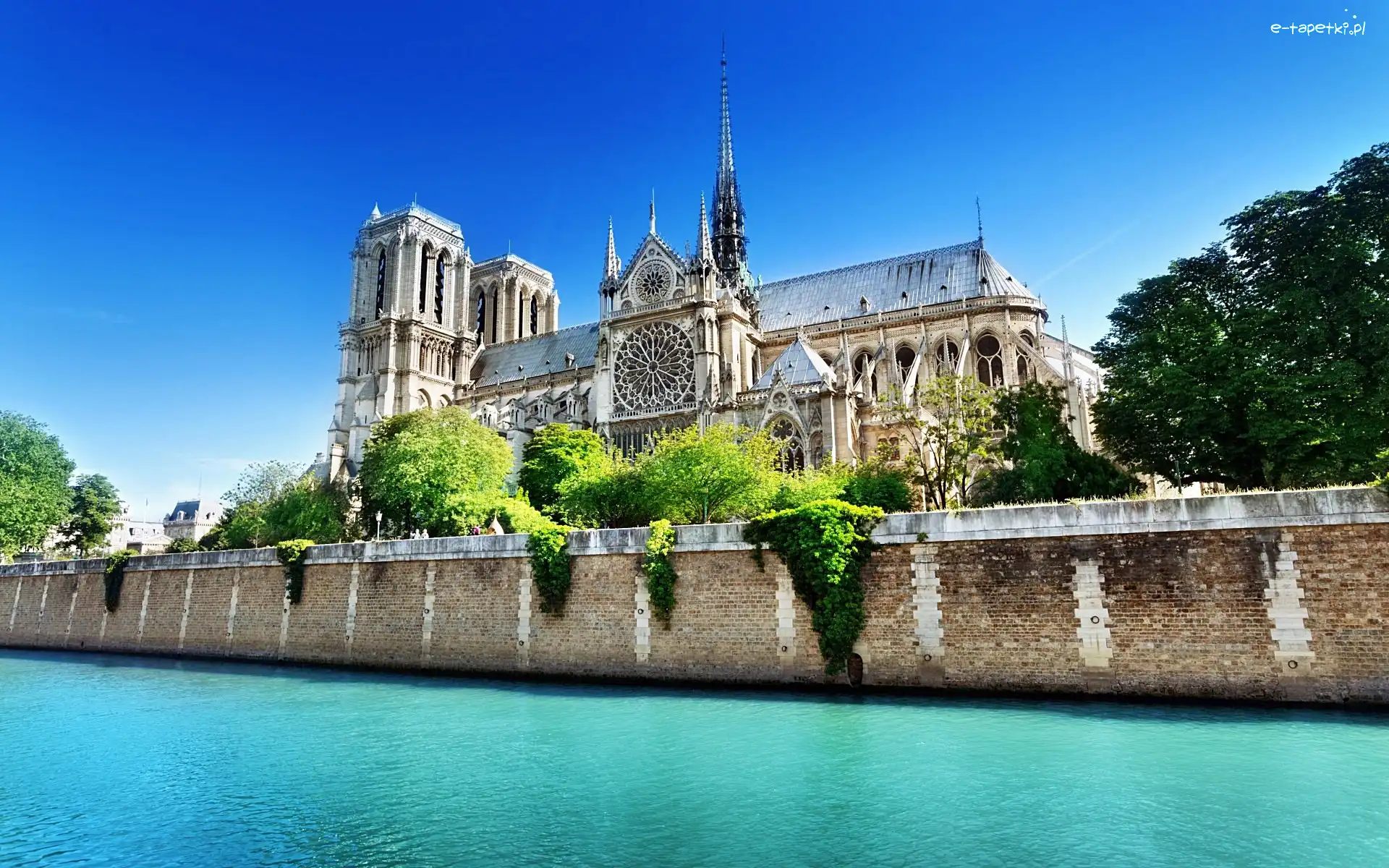 Notre Dame, Francja, Paryż, Katedra
